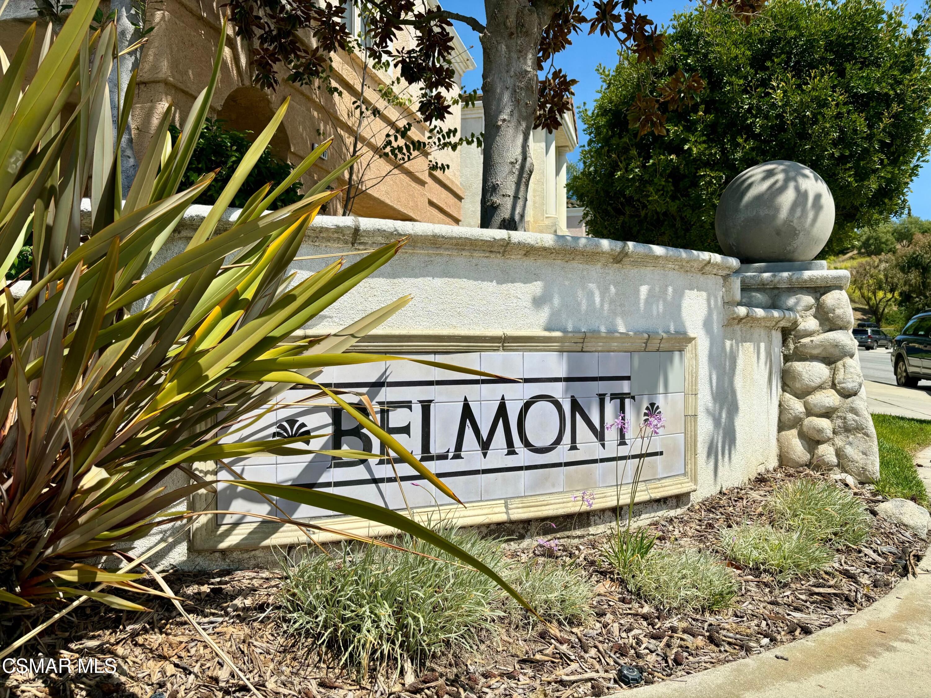 11454 Amberridge Court