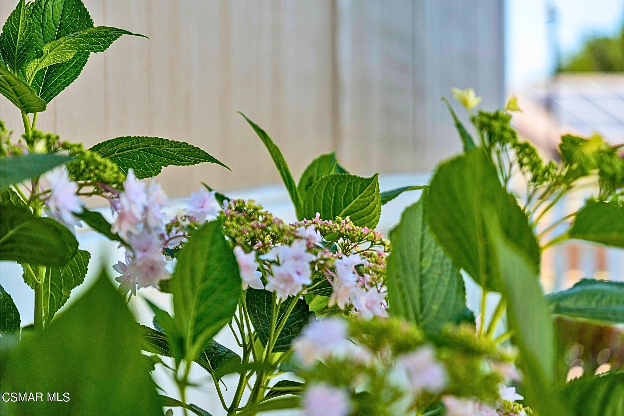 2569 Thunderbird Drive, 112