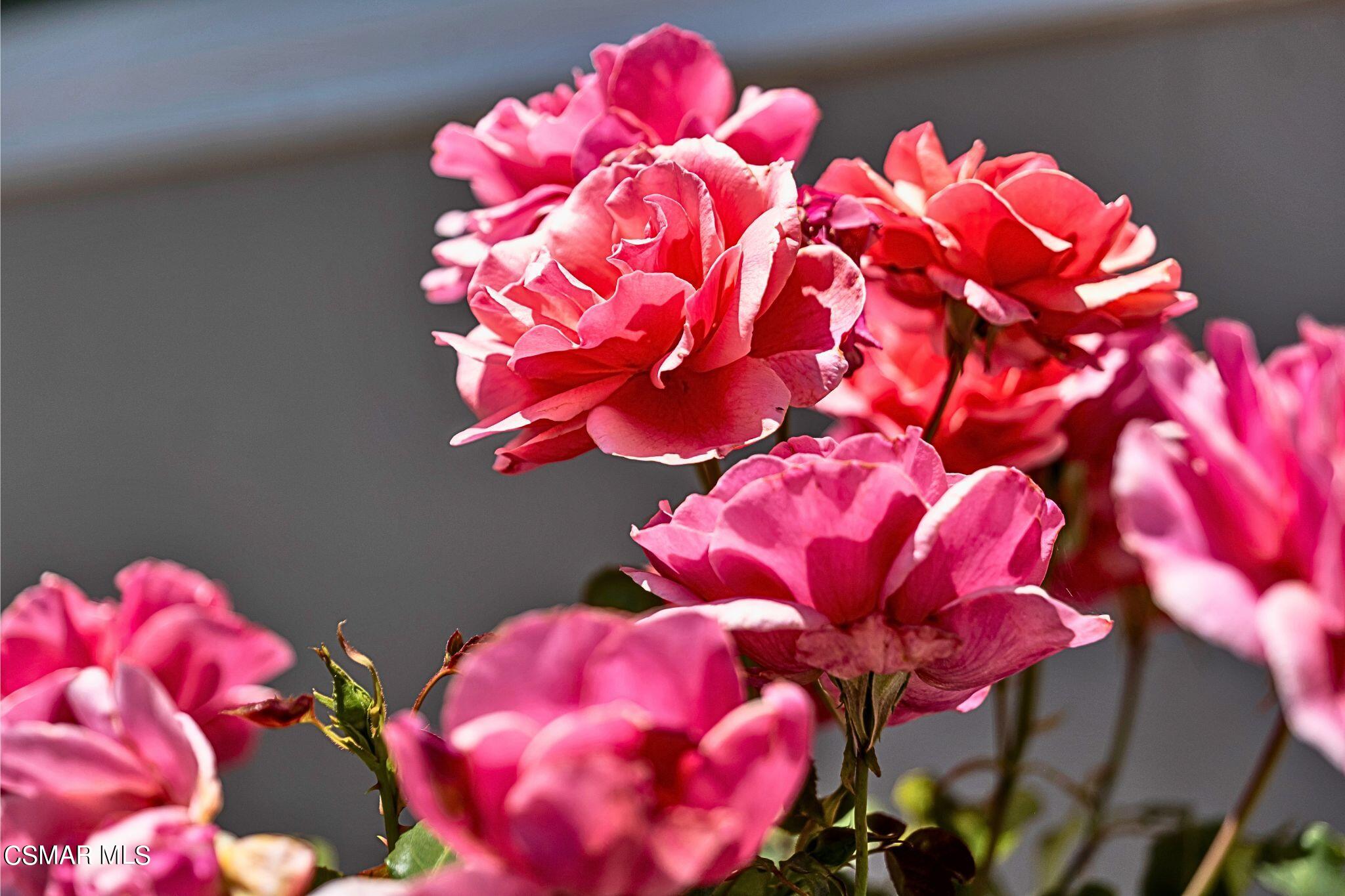 2569 Thunderbird Drive, 112