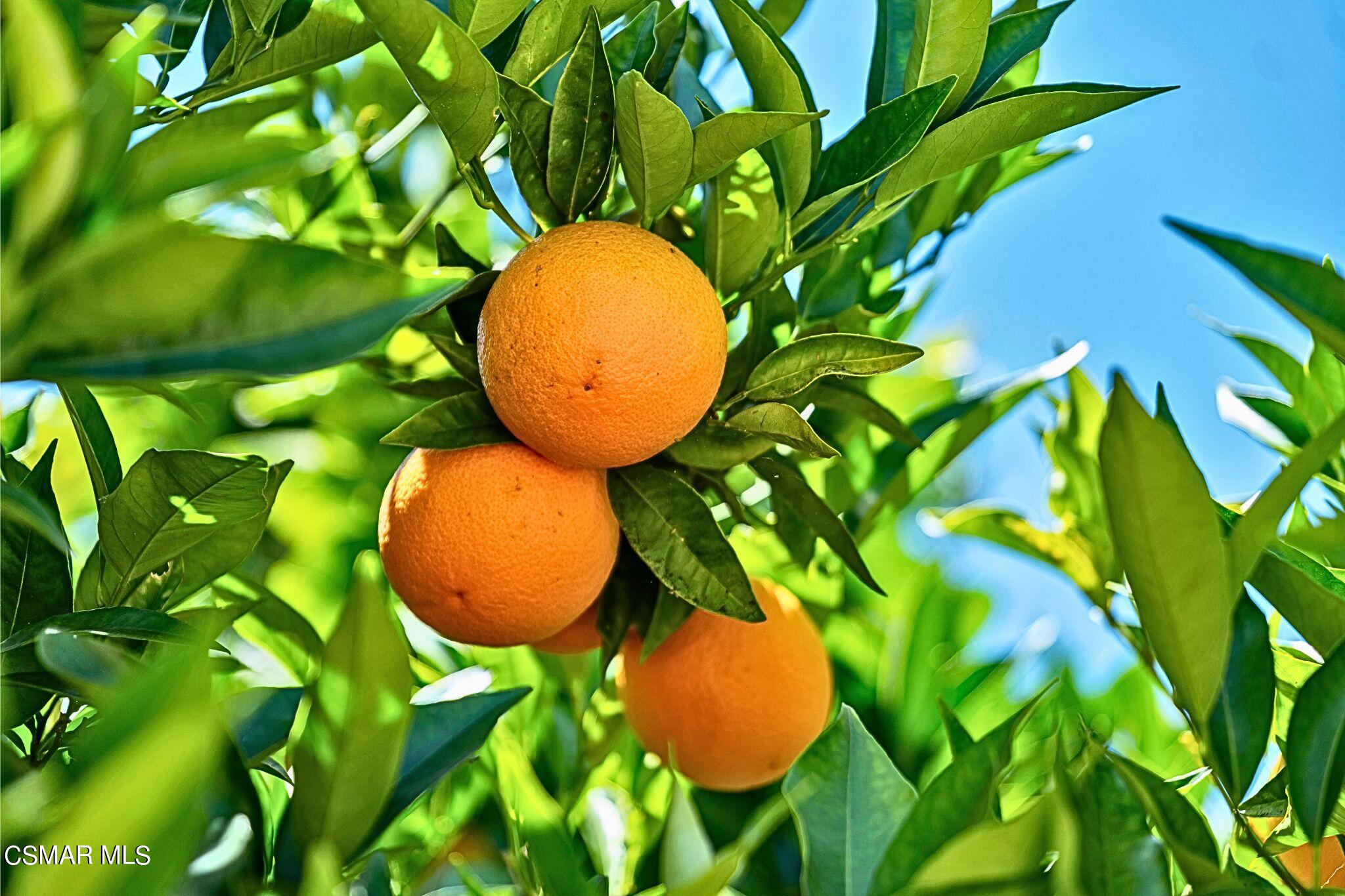 2569 Thunderbird Drive, 112