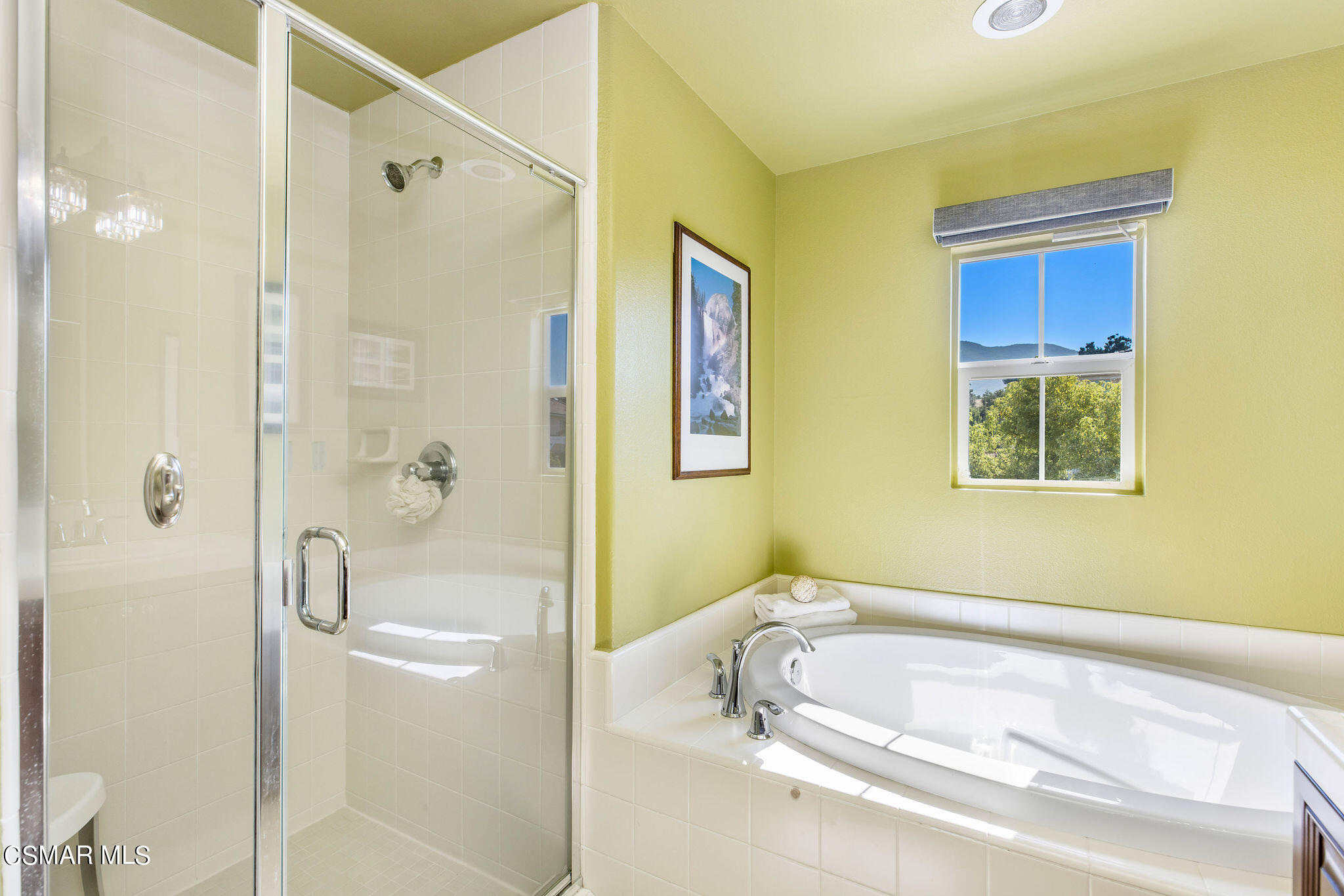 1594 Silver Shadow Drive