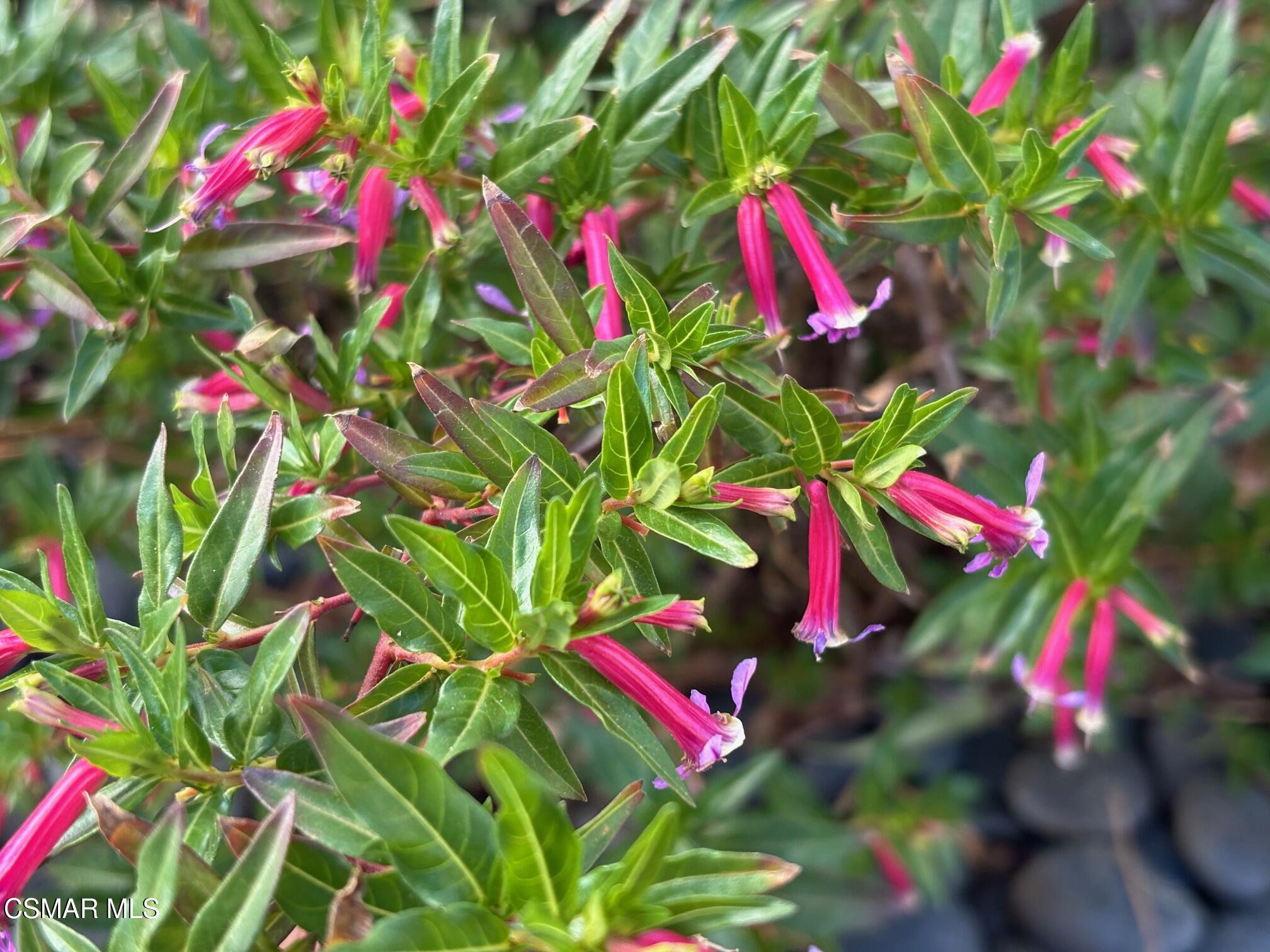 644 Martinique Place