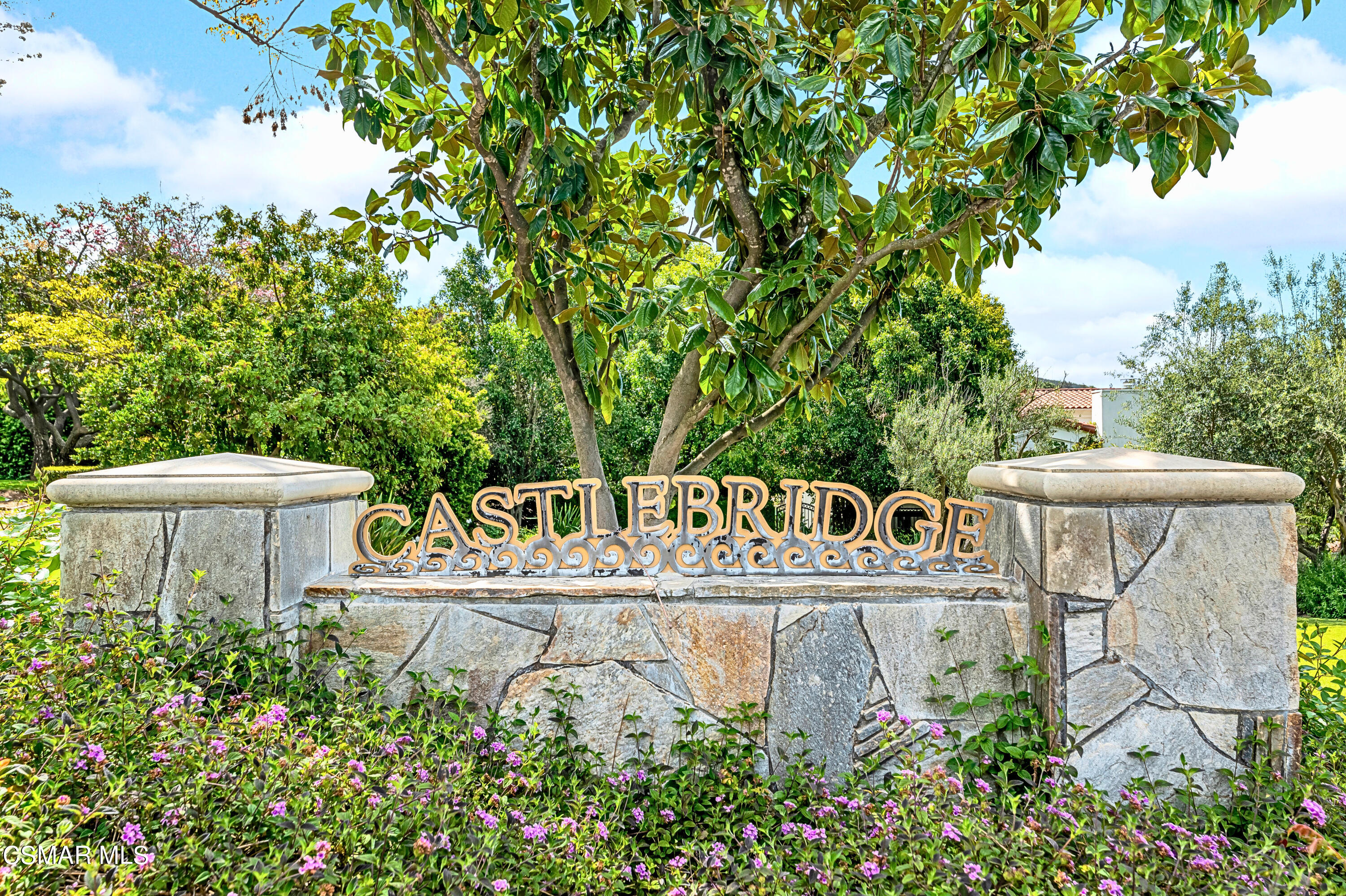 1687 Castlebridge Court