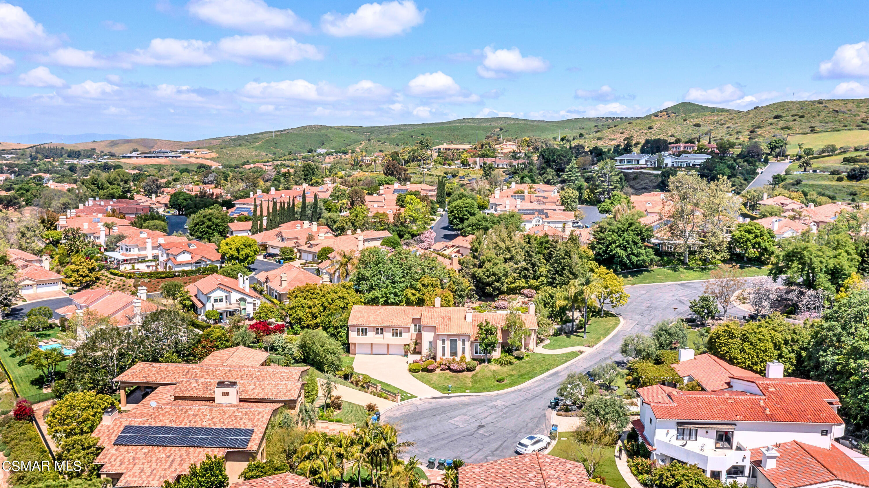 1687 Castlebridge Court