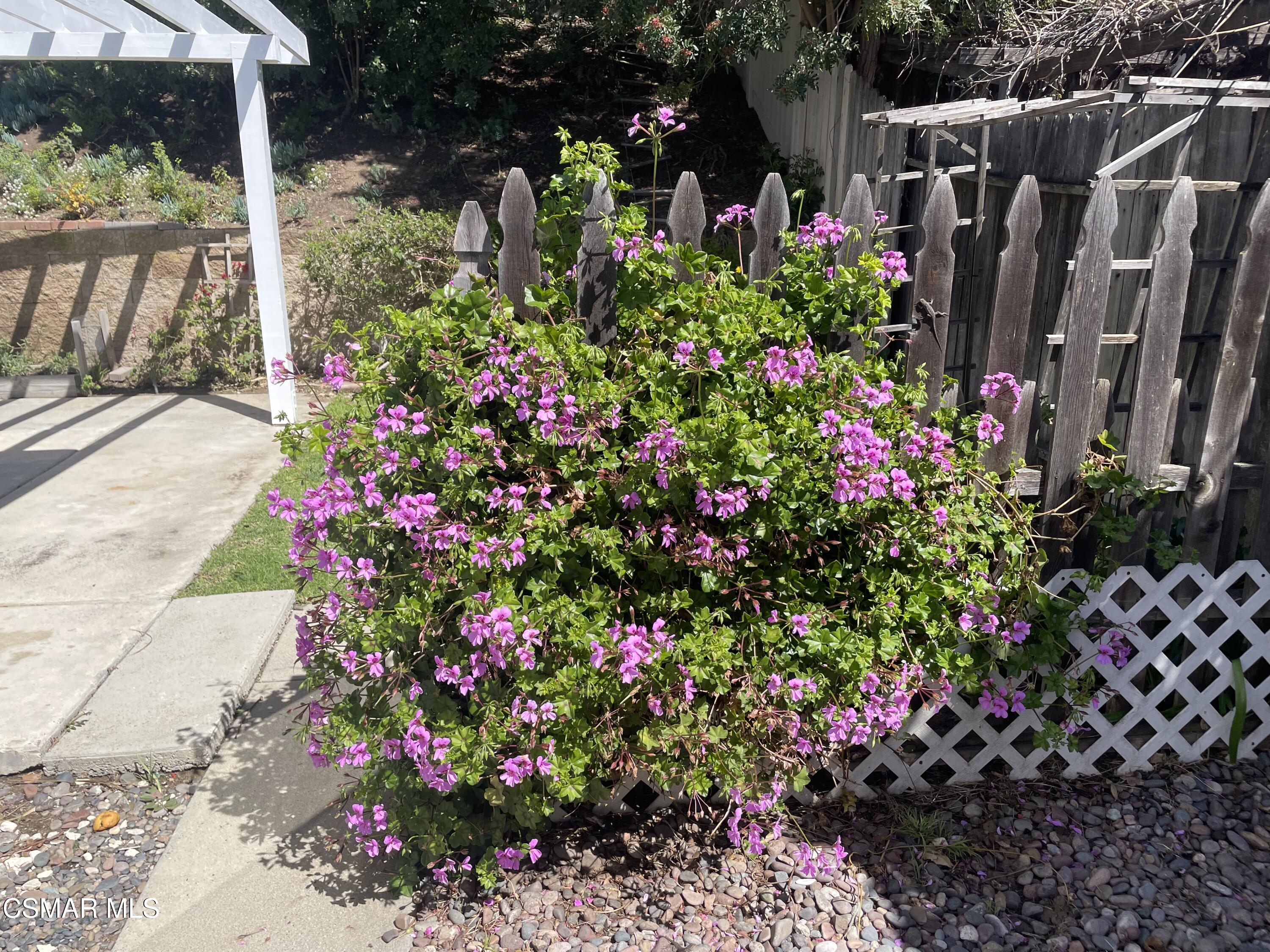 659 Flaming Star Avenue