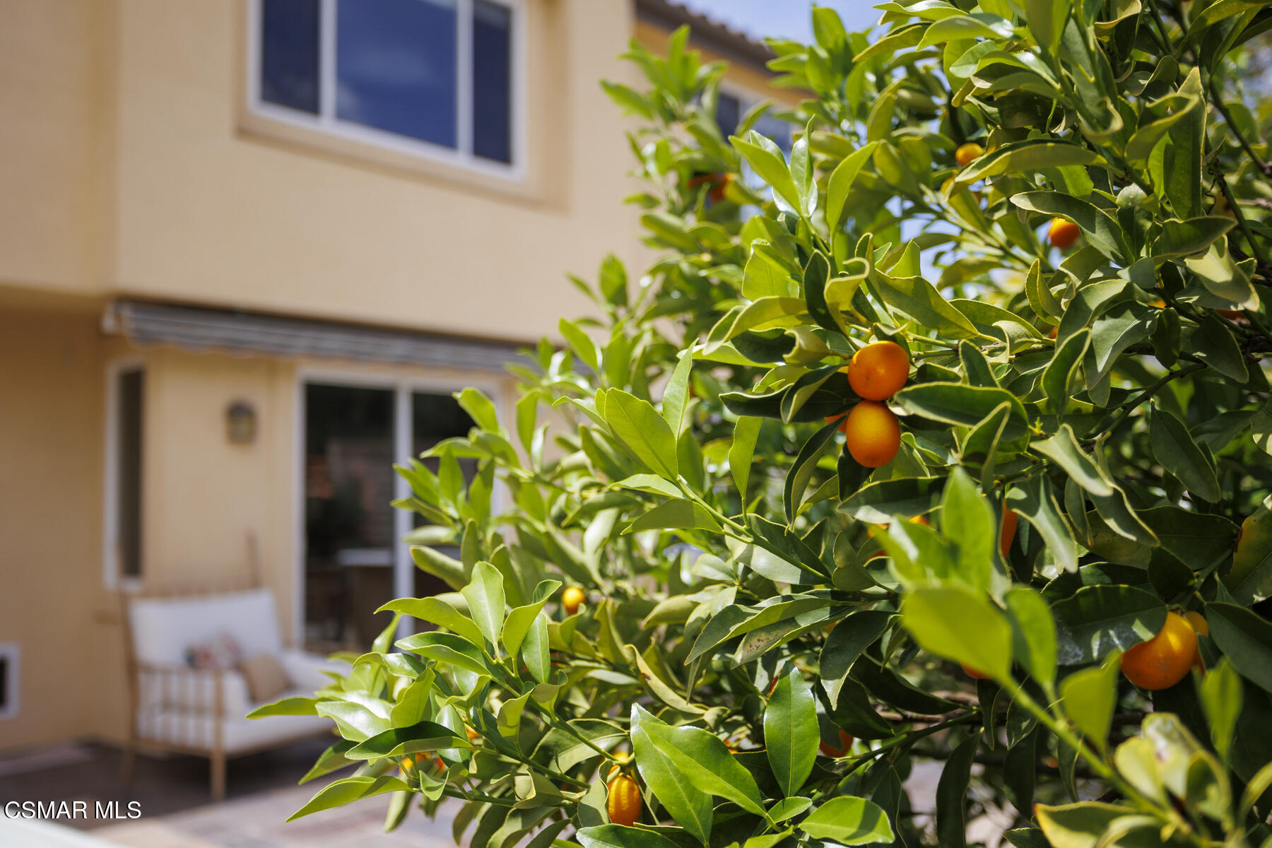 5859 Evening Sky Drive