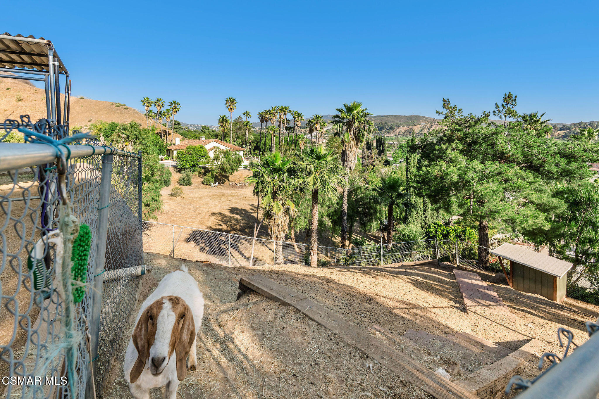 11270 Dominica Avenue