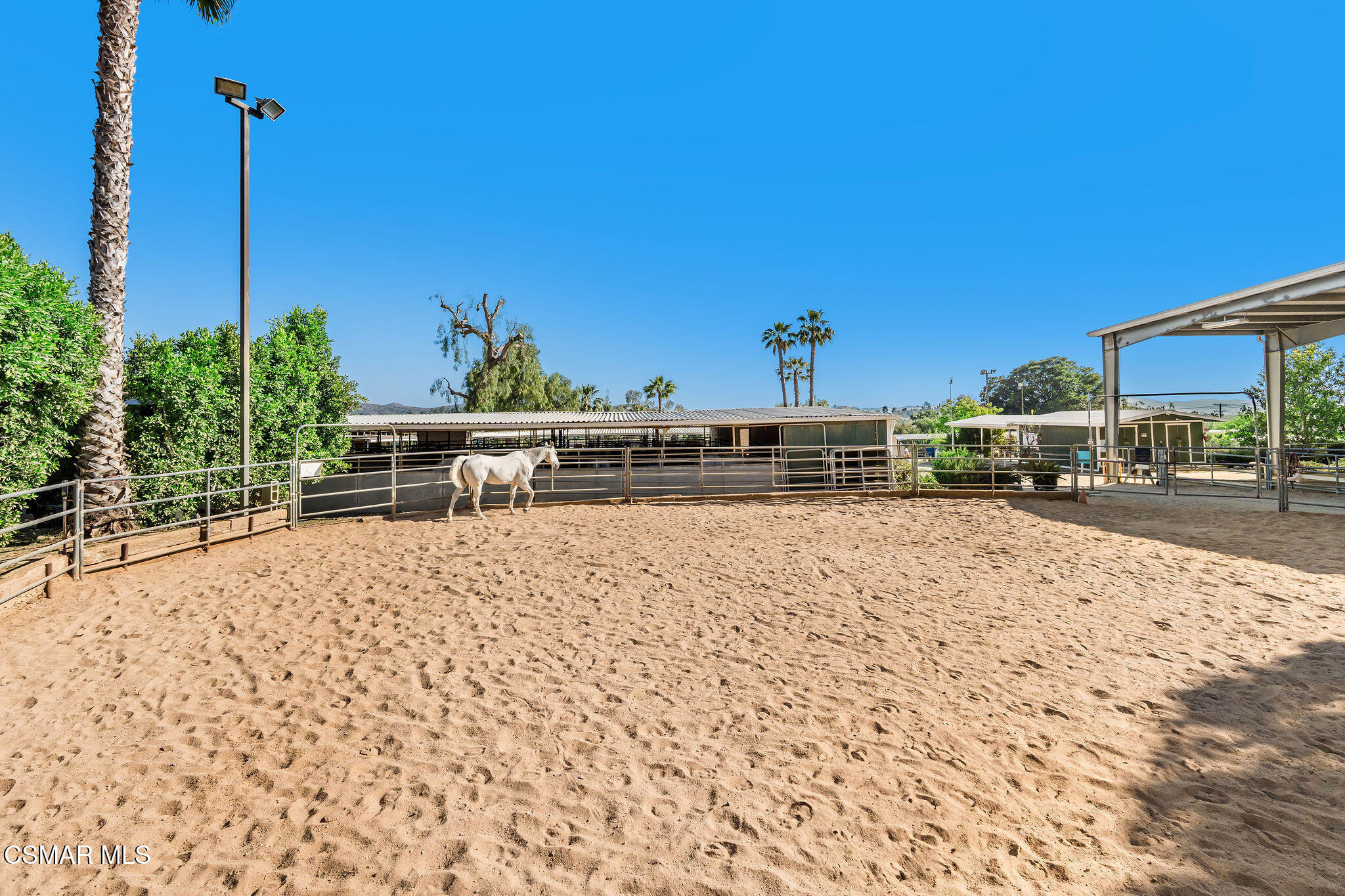 11270 Dominica Avenue