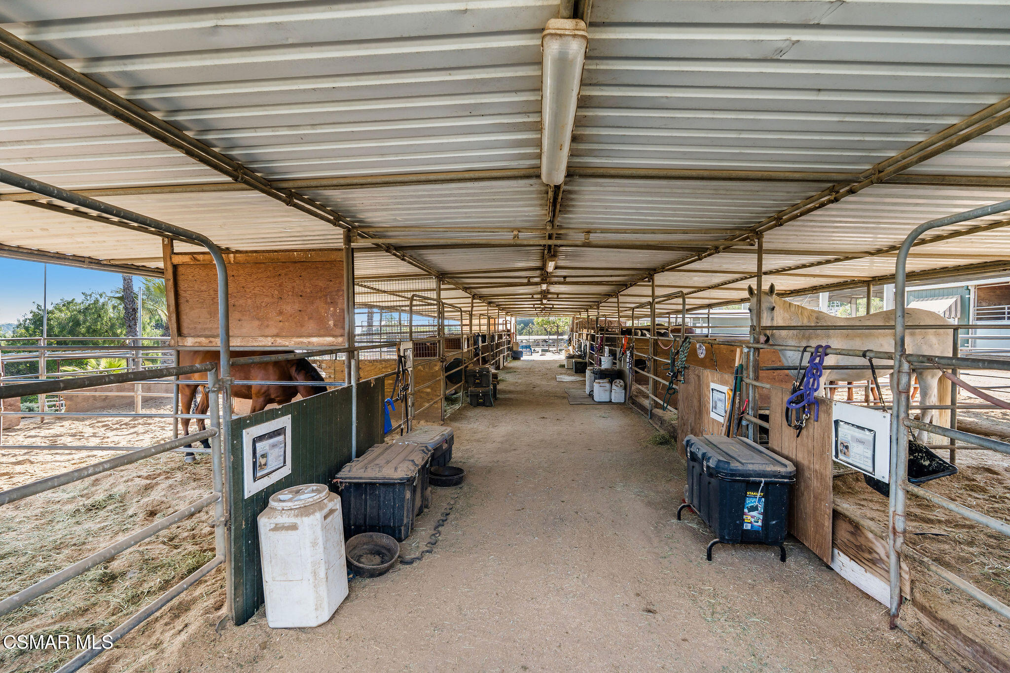 11270 Dominica Avenue