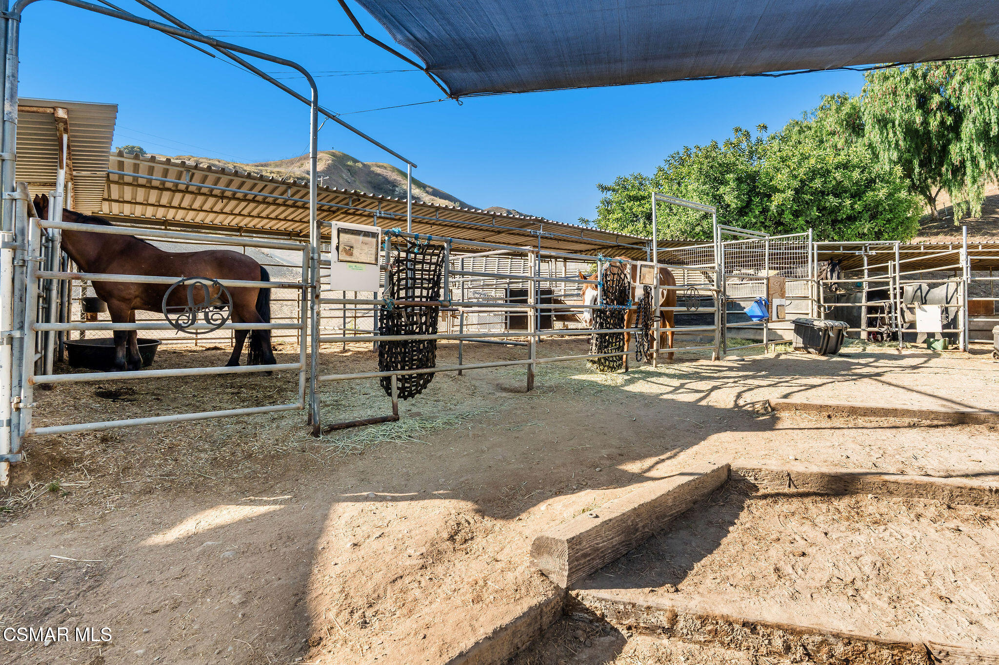 11270 Dominica Avenue