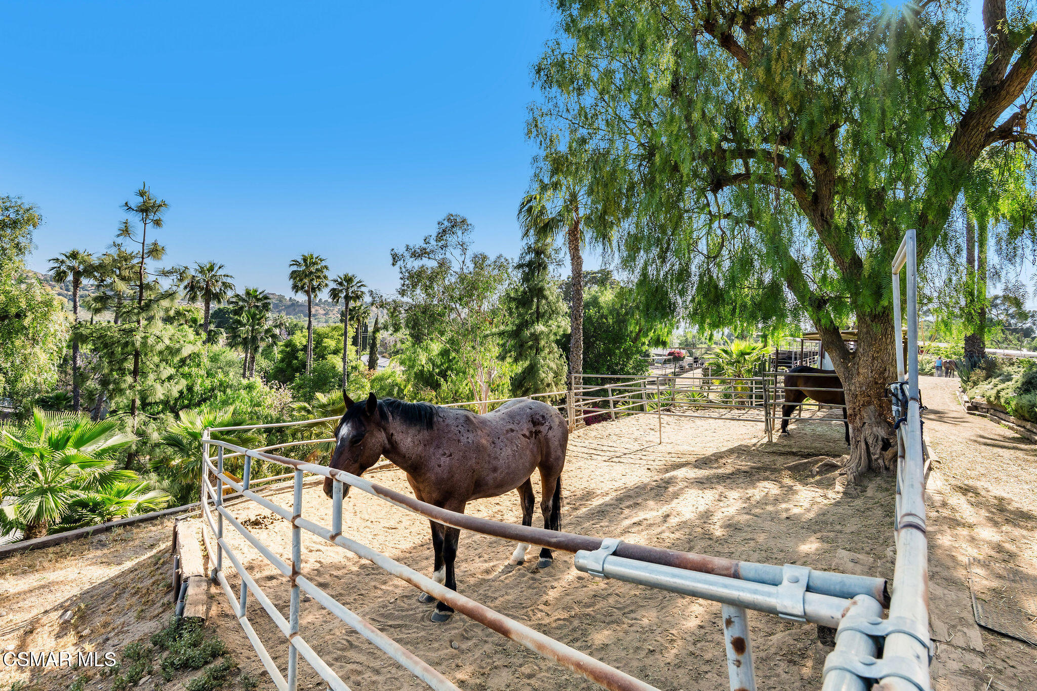 11270 Dominica Avenue