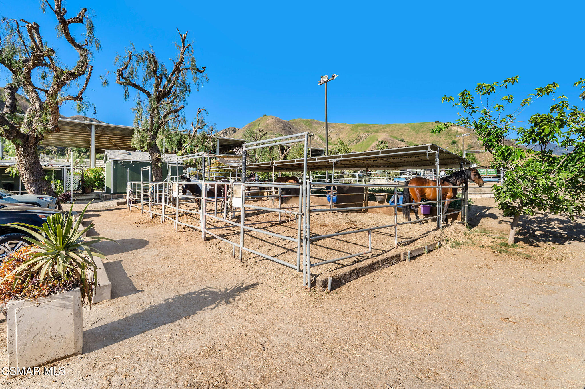 11270 Dominica Avenue