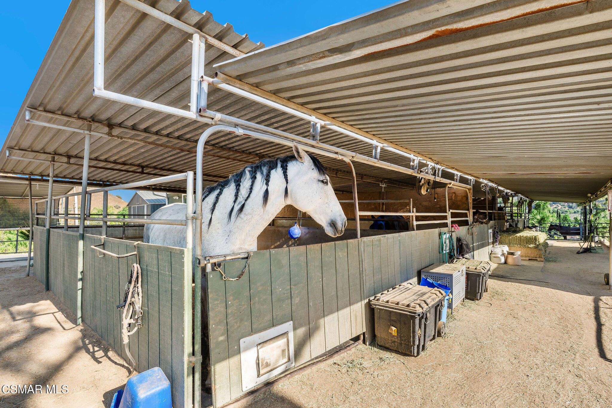 11270 Dominica Avenue