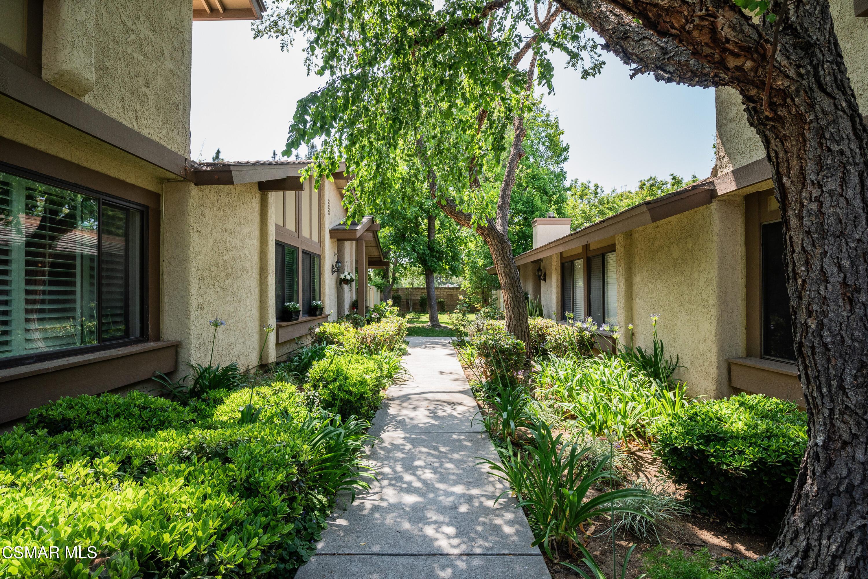 1103 Catlin Street, C