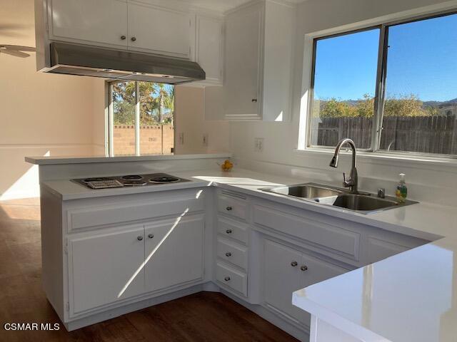 3916 Buckthorn Court