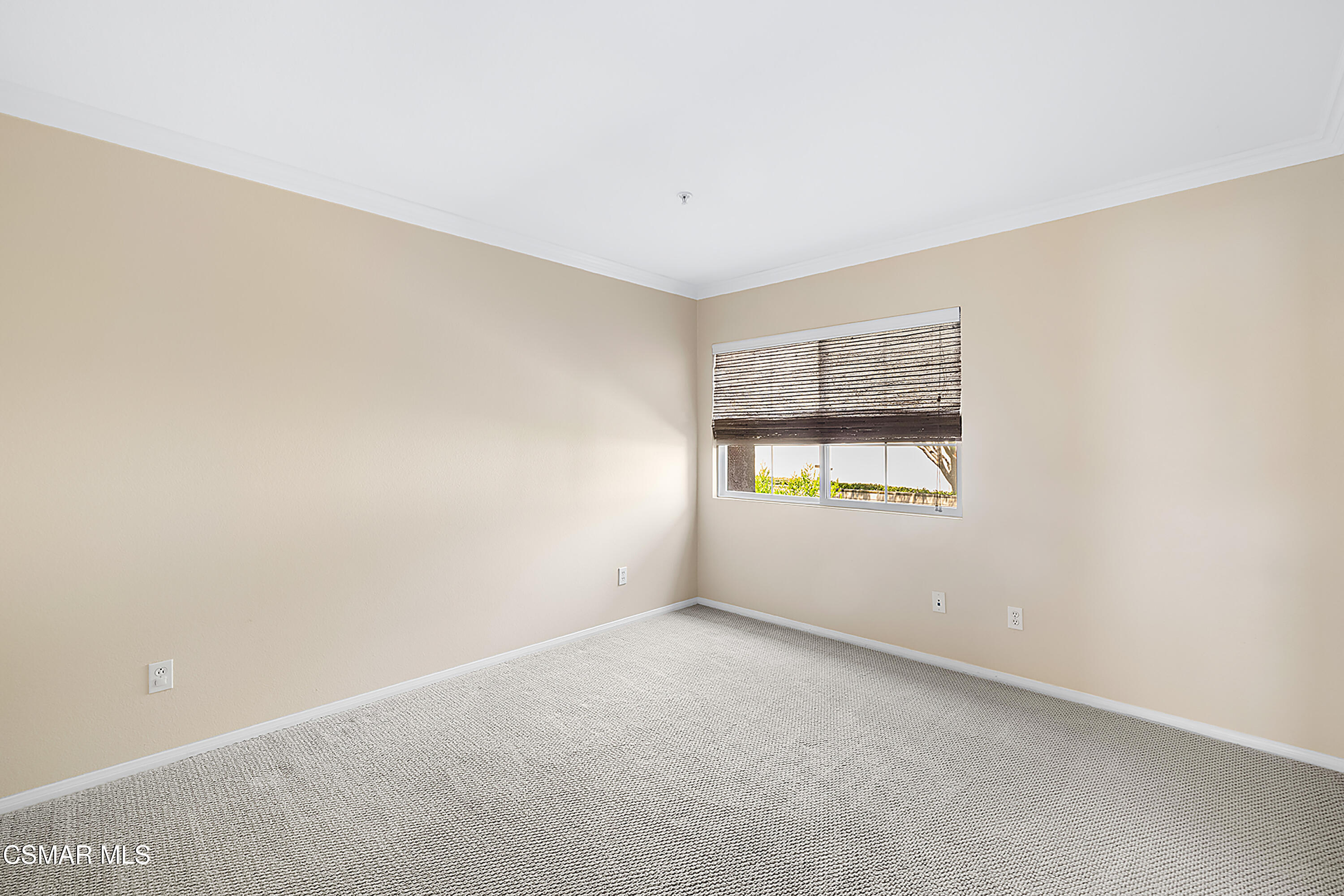 1325 Ashton Park Lane