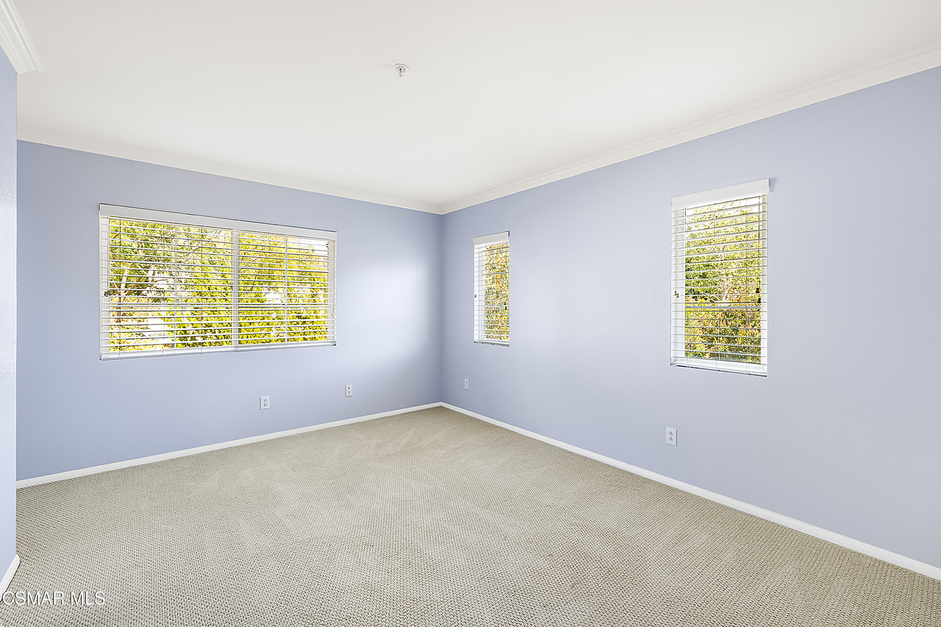 1325 Ashton Park Lane