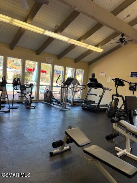 286 Oakleaf Drive, 23