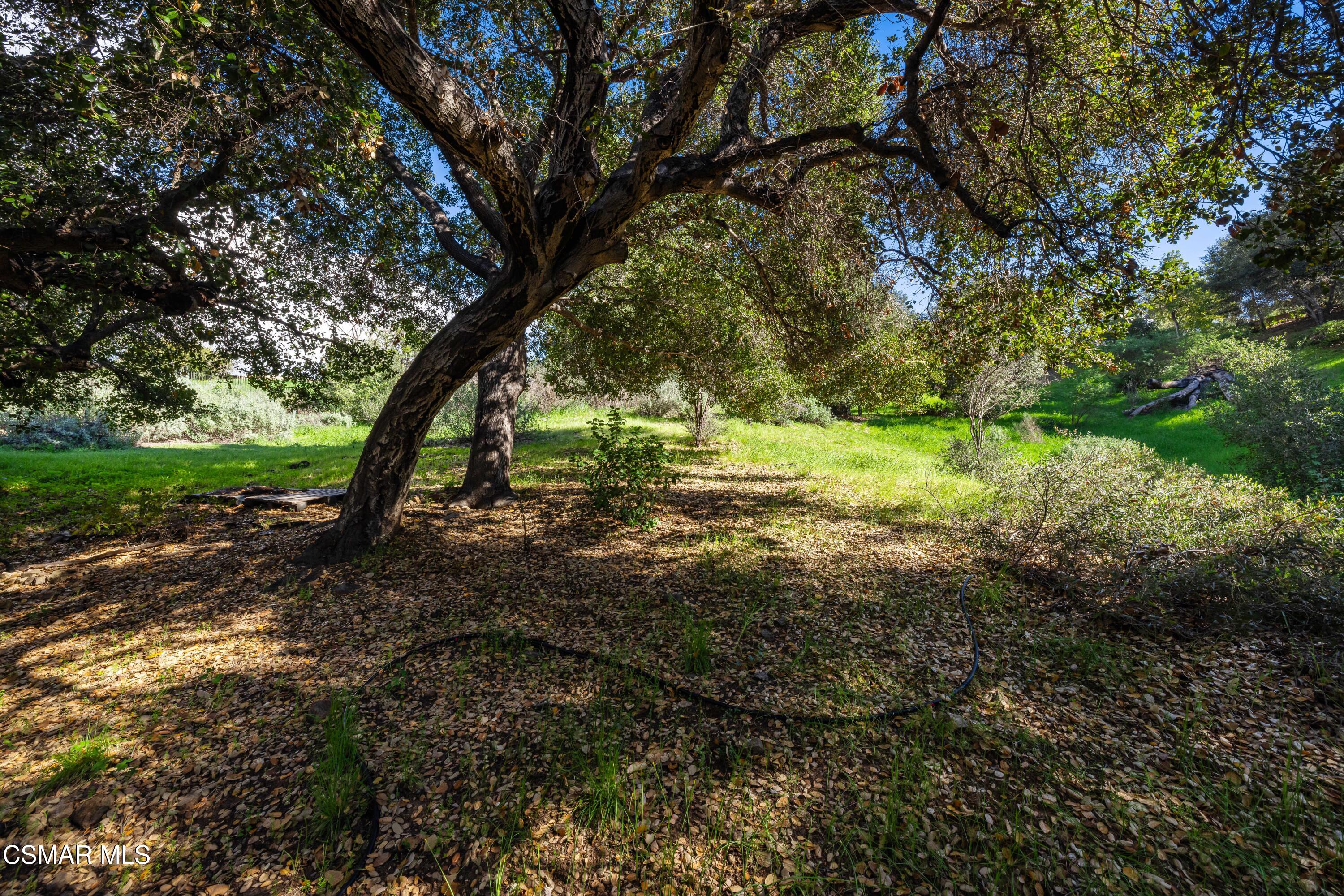 3550 Three Springs Drive