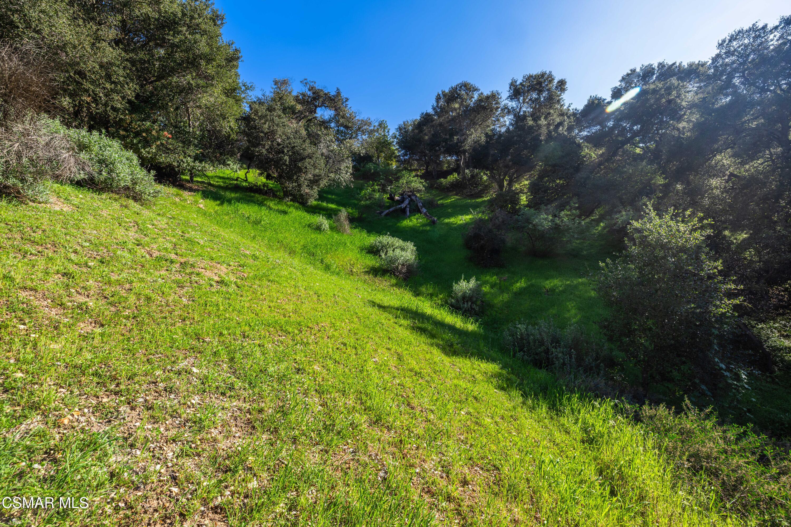 3550 Three Springs Drive