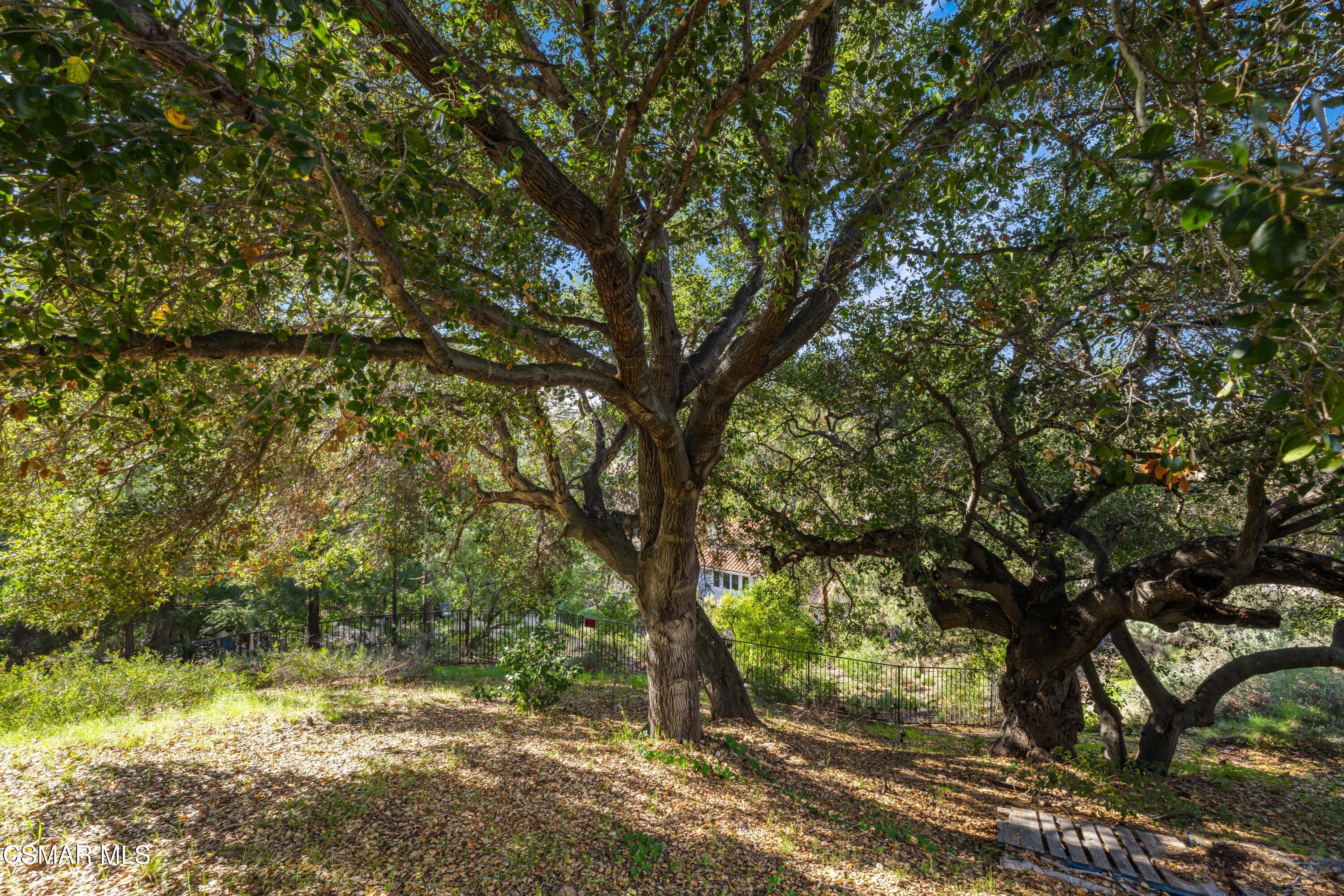 3550 Three Springs Drive