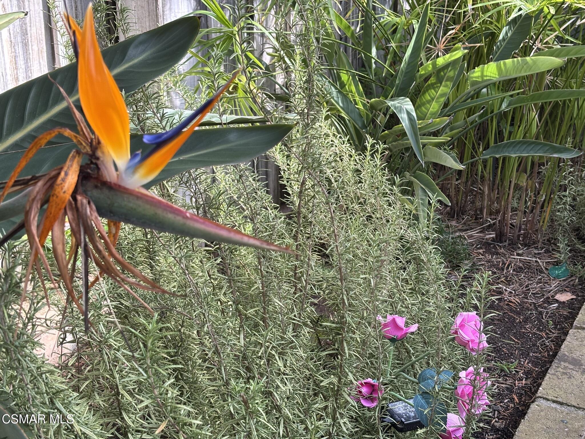 3184 W Black Hills Court