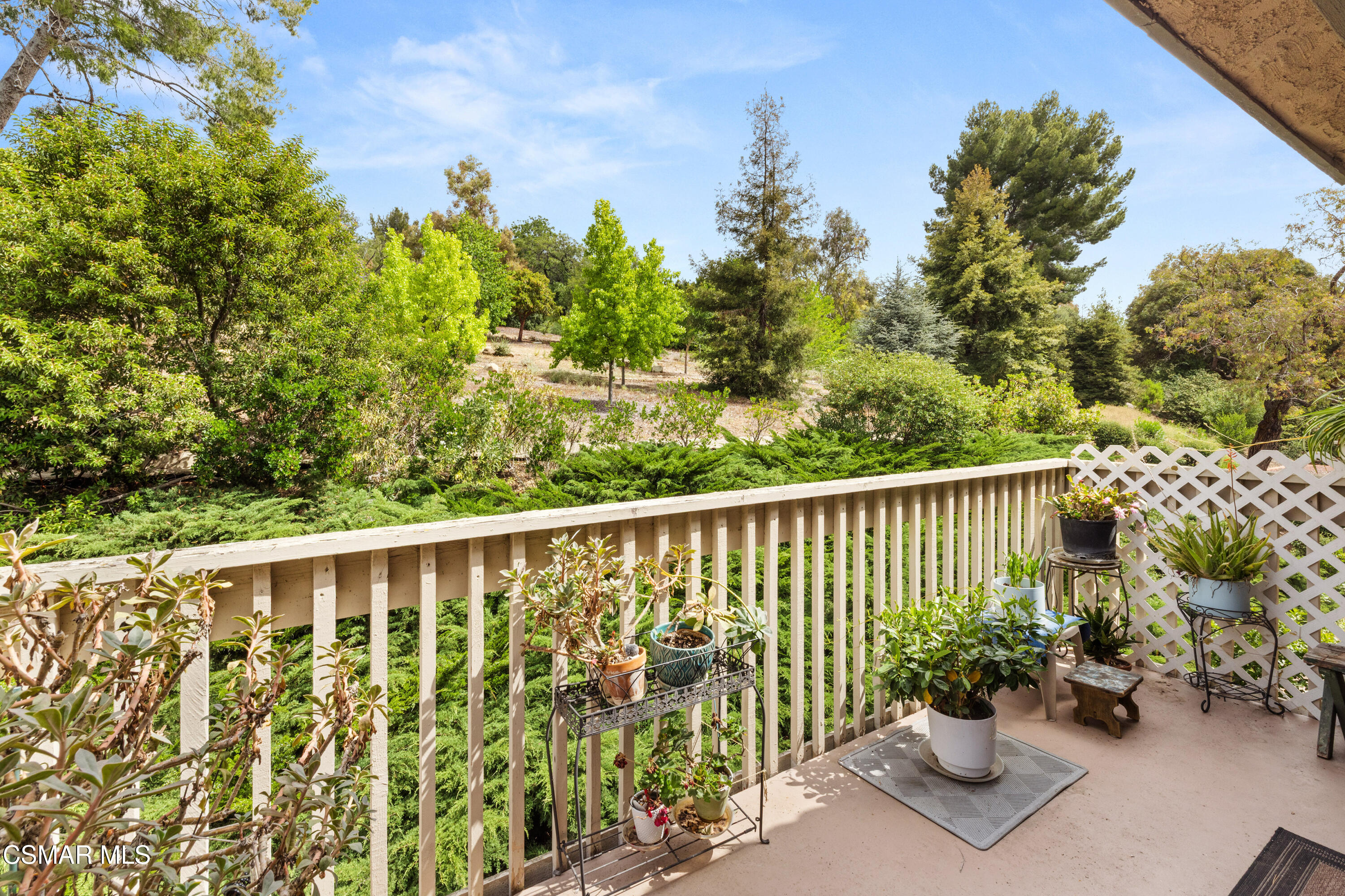286 Oakleaf Drive, 32