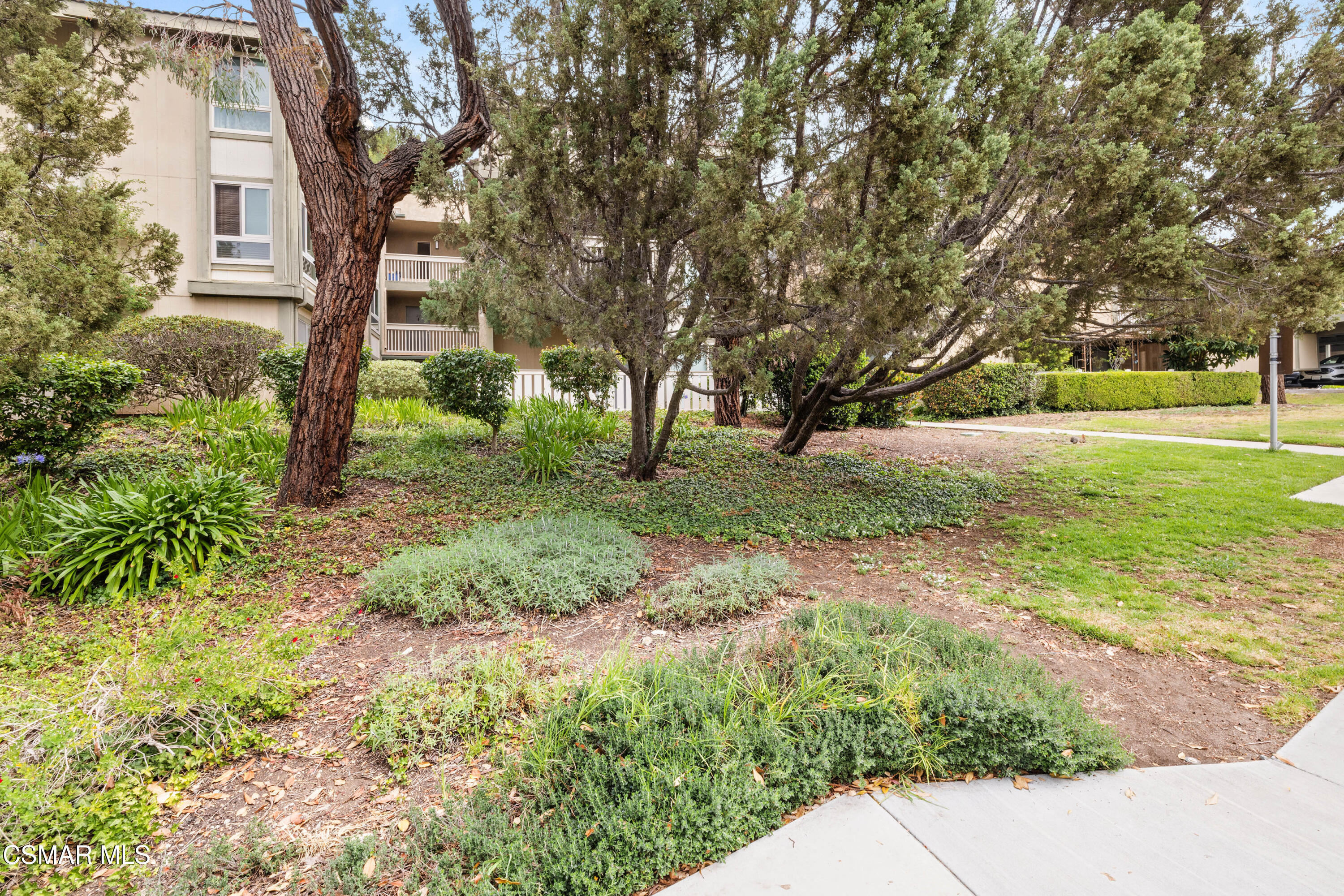 286 Oakleaf Drive, 32