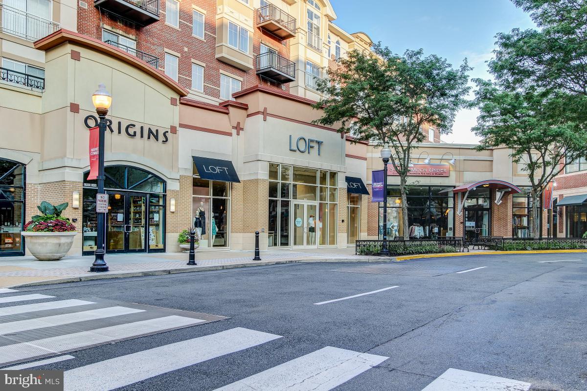 1021 N Garfield St #513