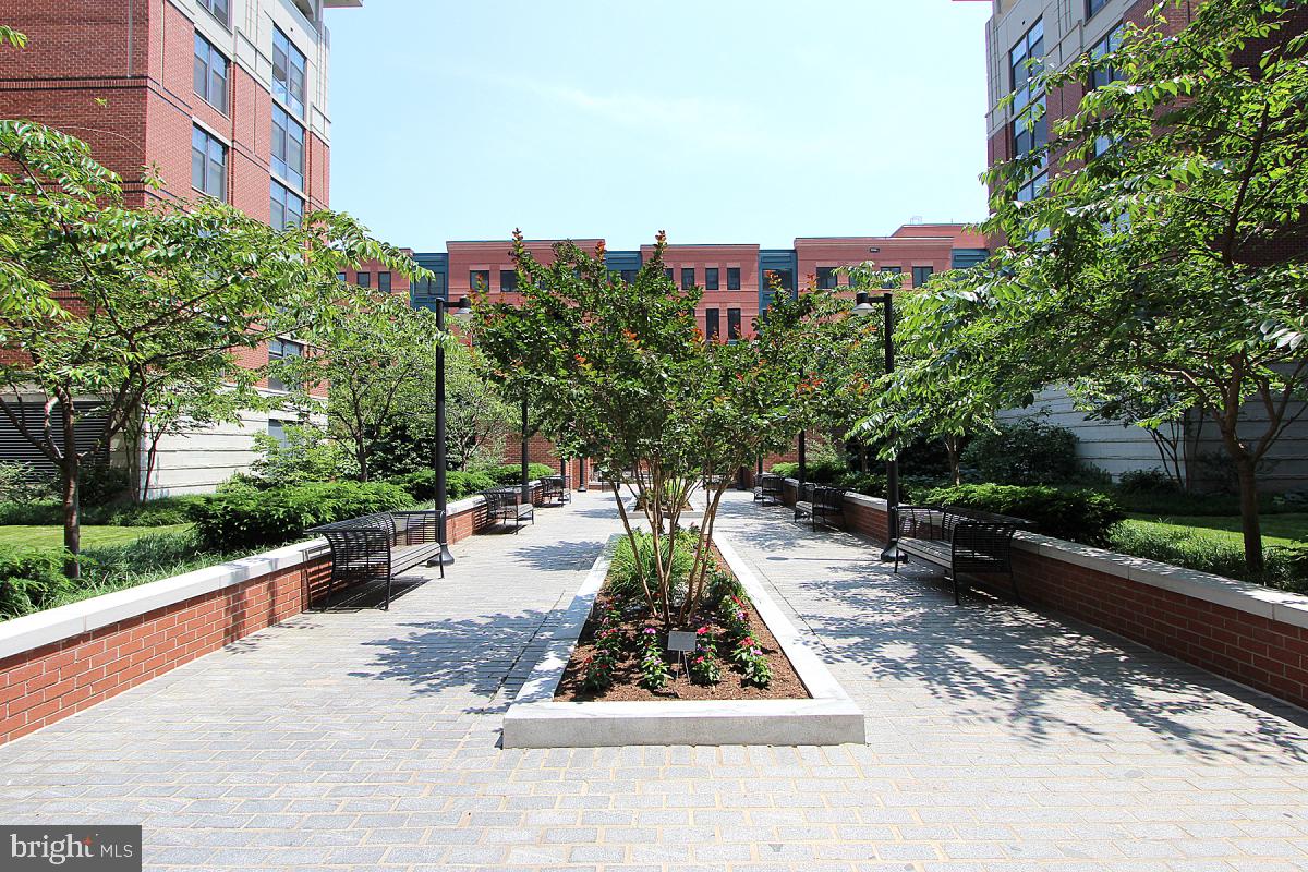 1021 N Garfield St #513