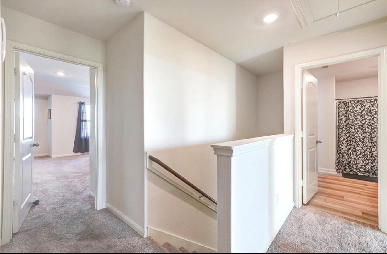 7943 Vacek Meadows Loop