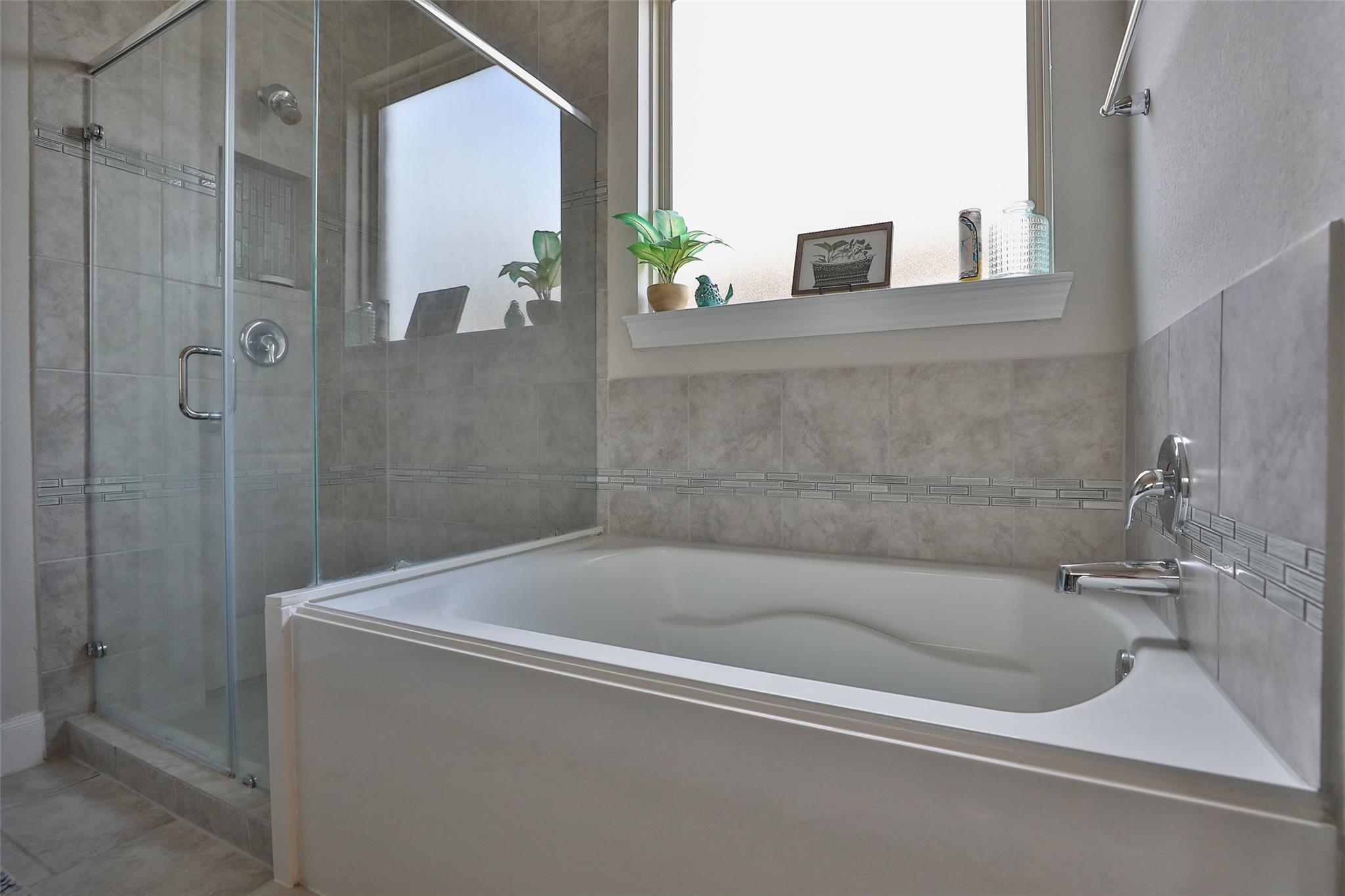 2810 Bluesage Bluff Drive