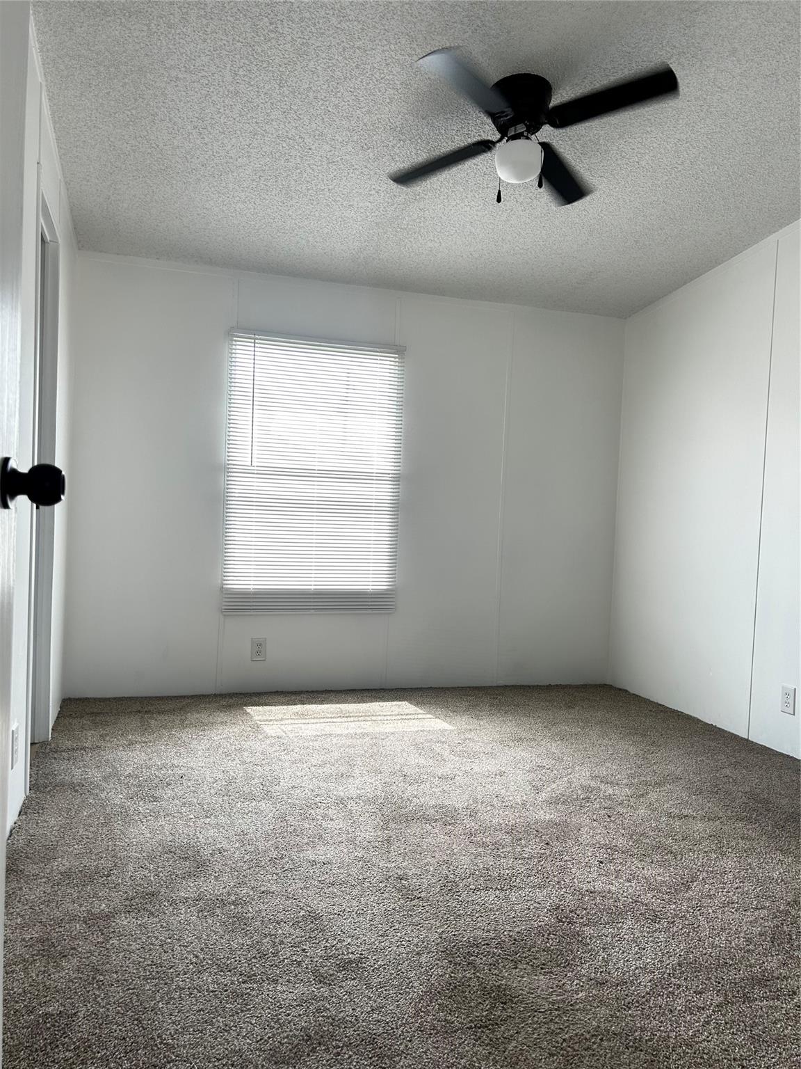 219 Blinkin Avenue
