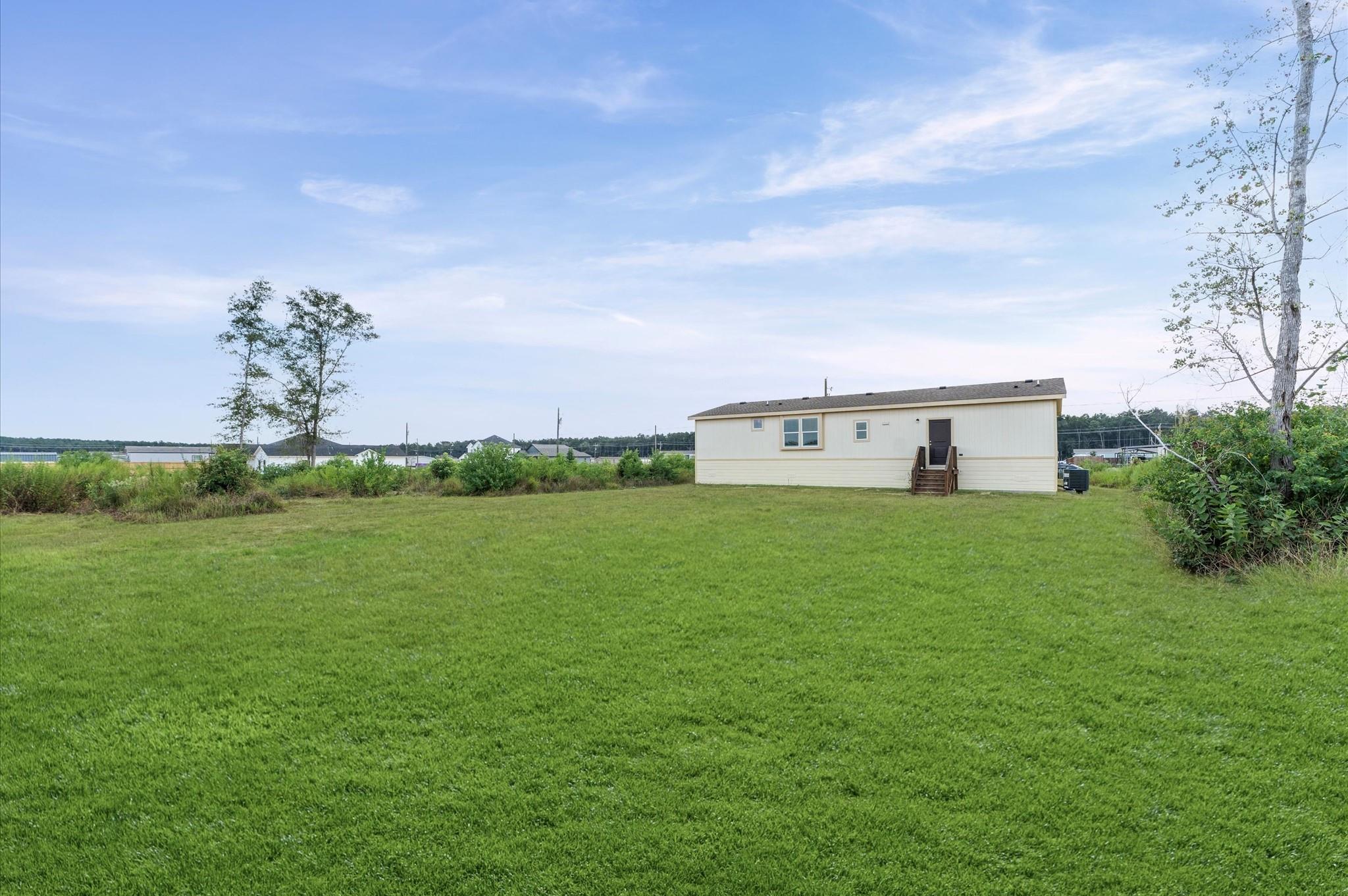 1207 Peter Pine Street