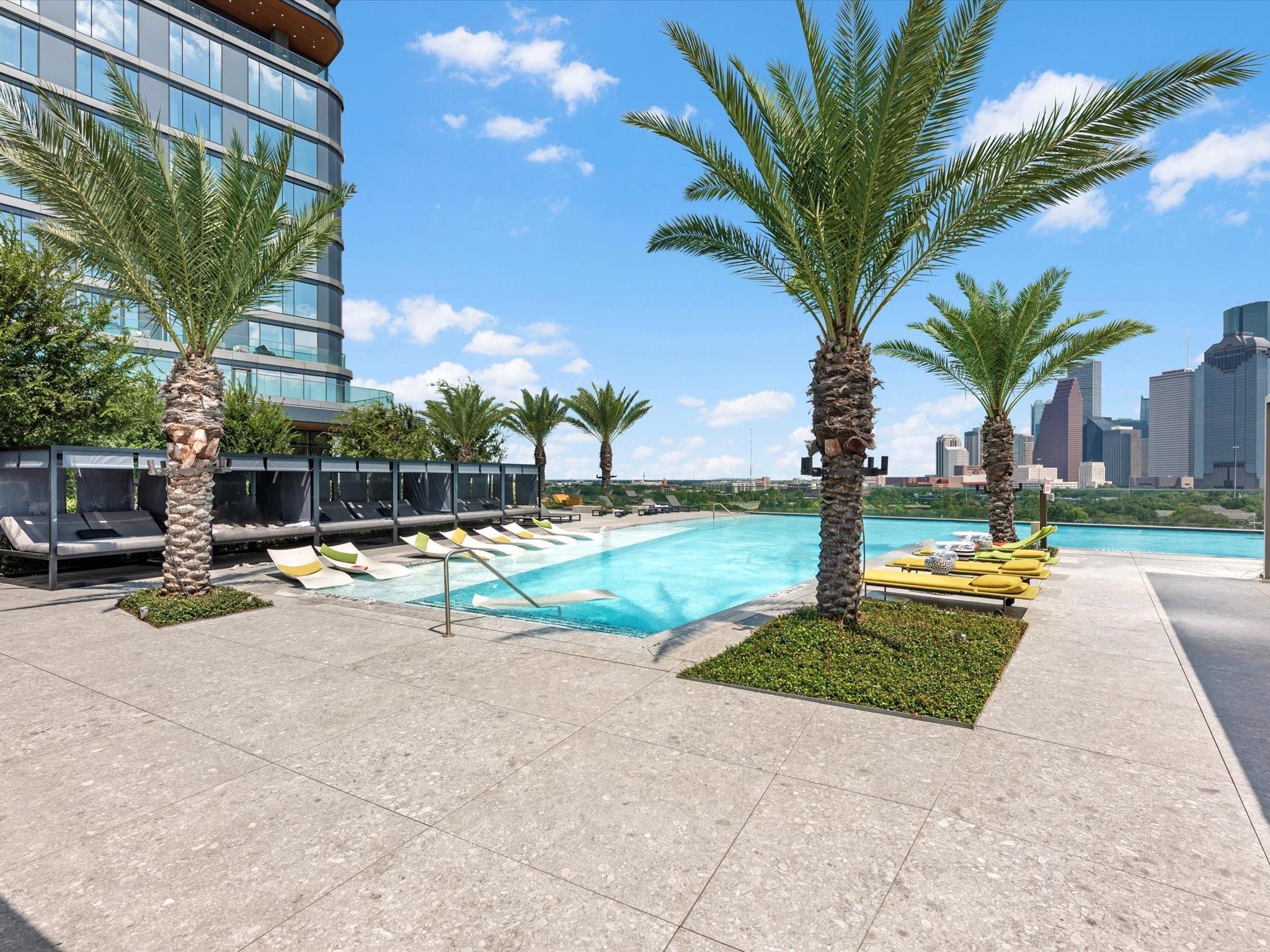 1711 Allen Parkway # 2102