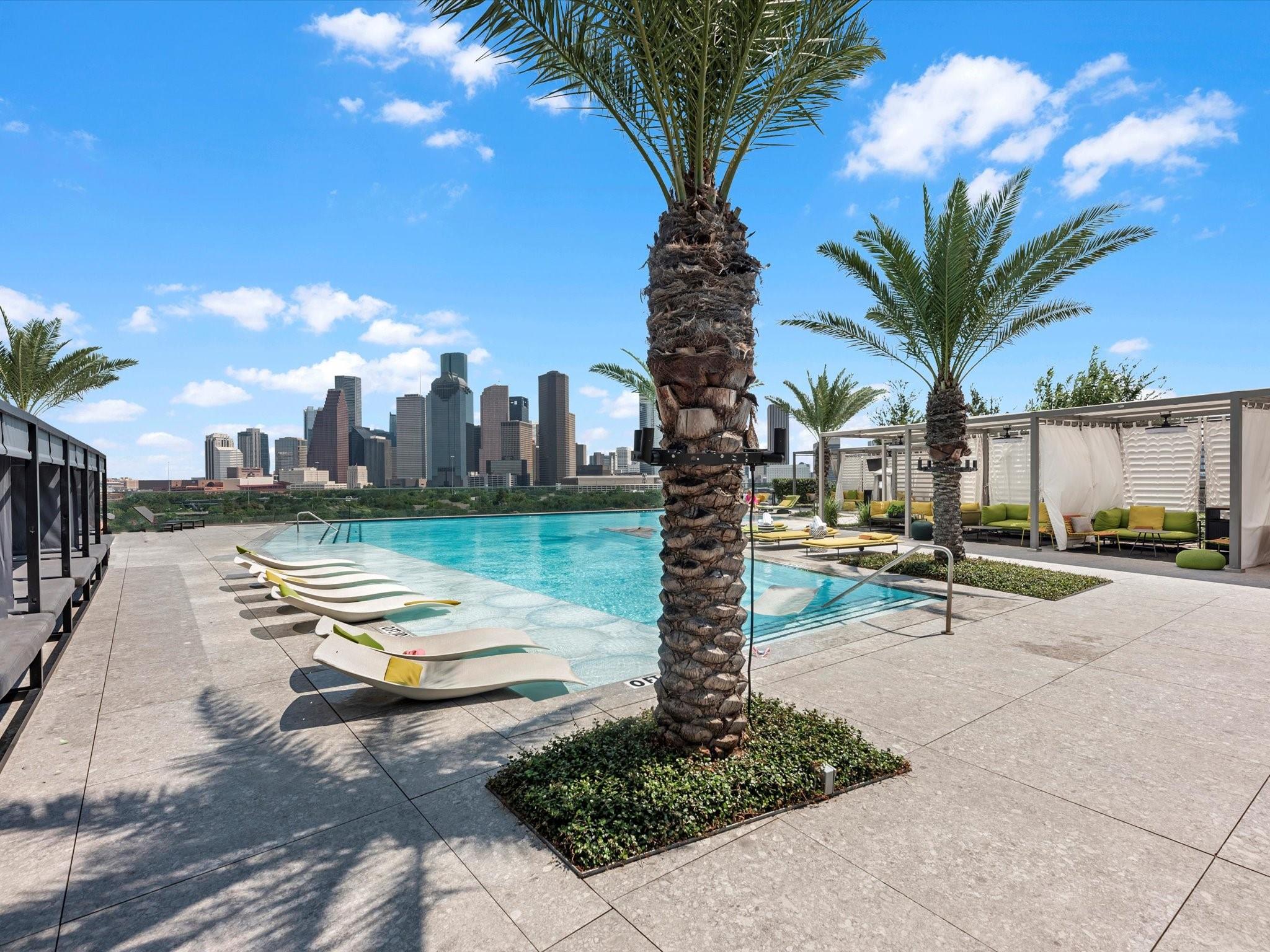 1711 Allen Parkway # 2102