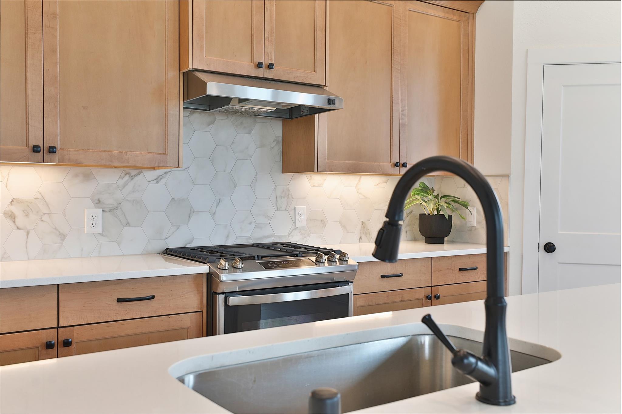 24526 Bluestar Blossom Trail