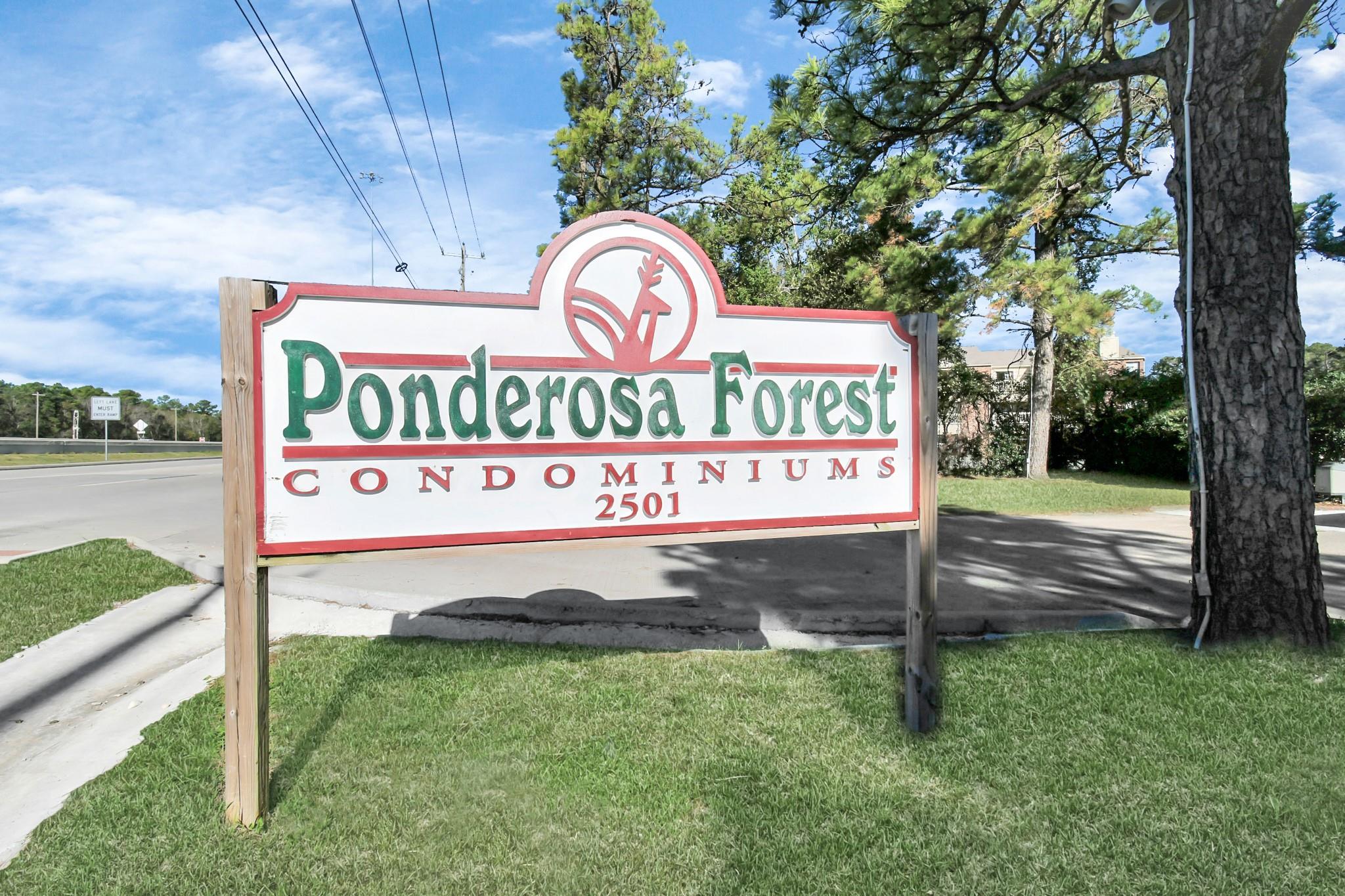 2501 Gulf Freeway # 250D