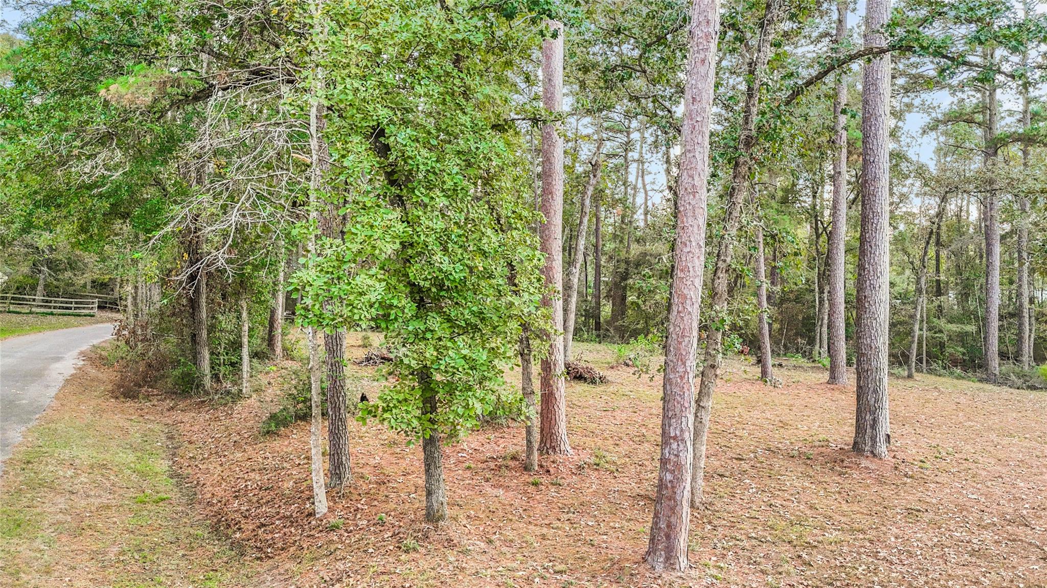 0 Mink Lake Dr