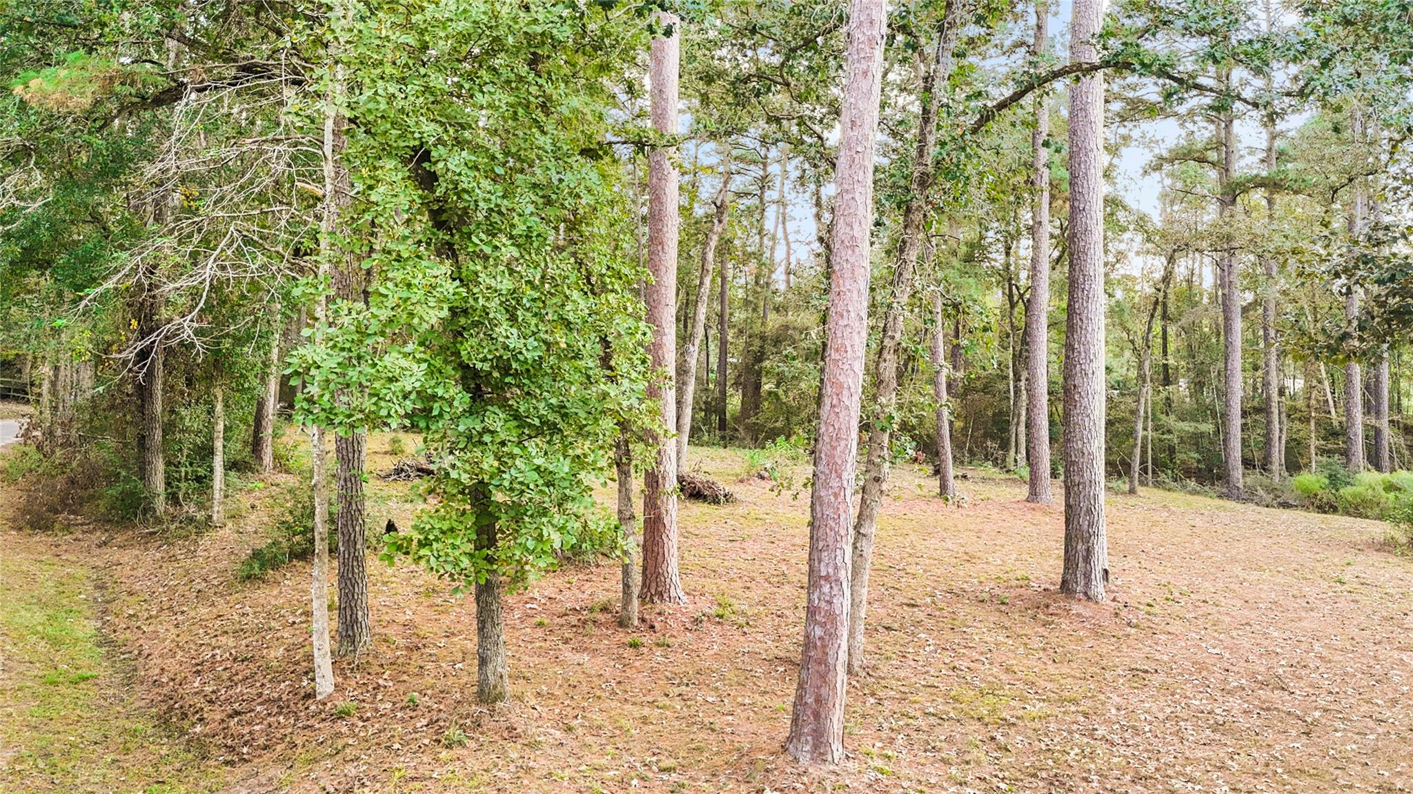 0 Mink Lake Dr
