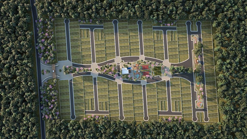 97320 C 21 #185 Misnebalam