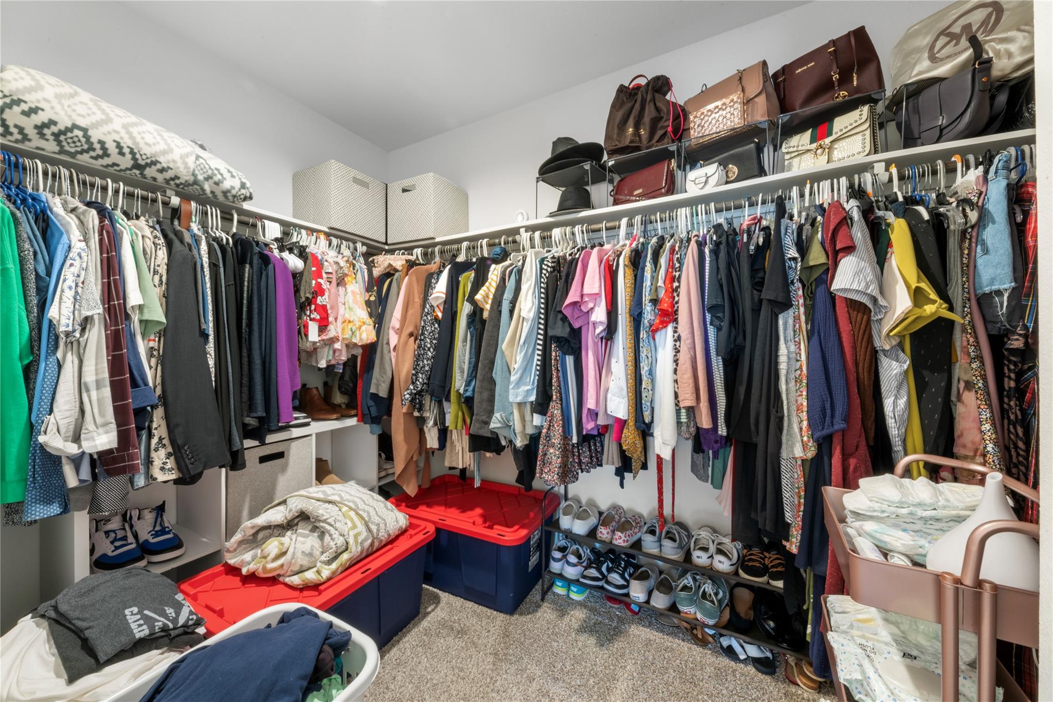 5146 Moonlit Garden Lane