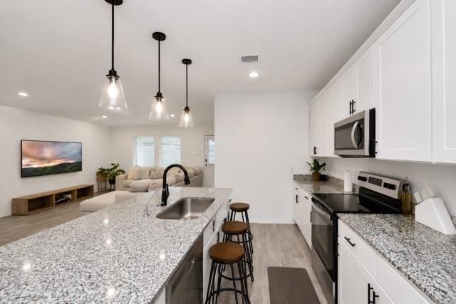 1313 Bison View Lane