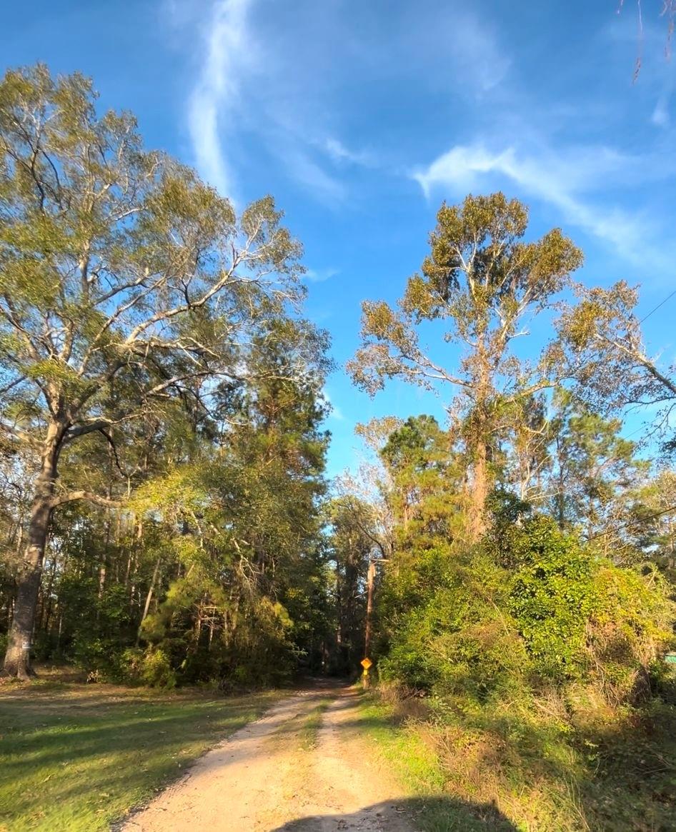 3430 Harden Holly Road