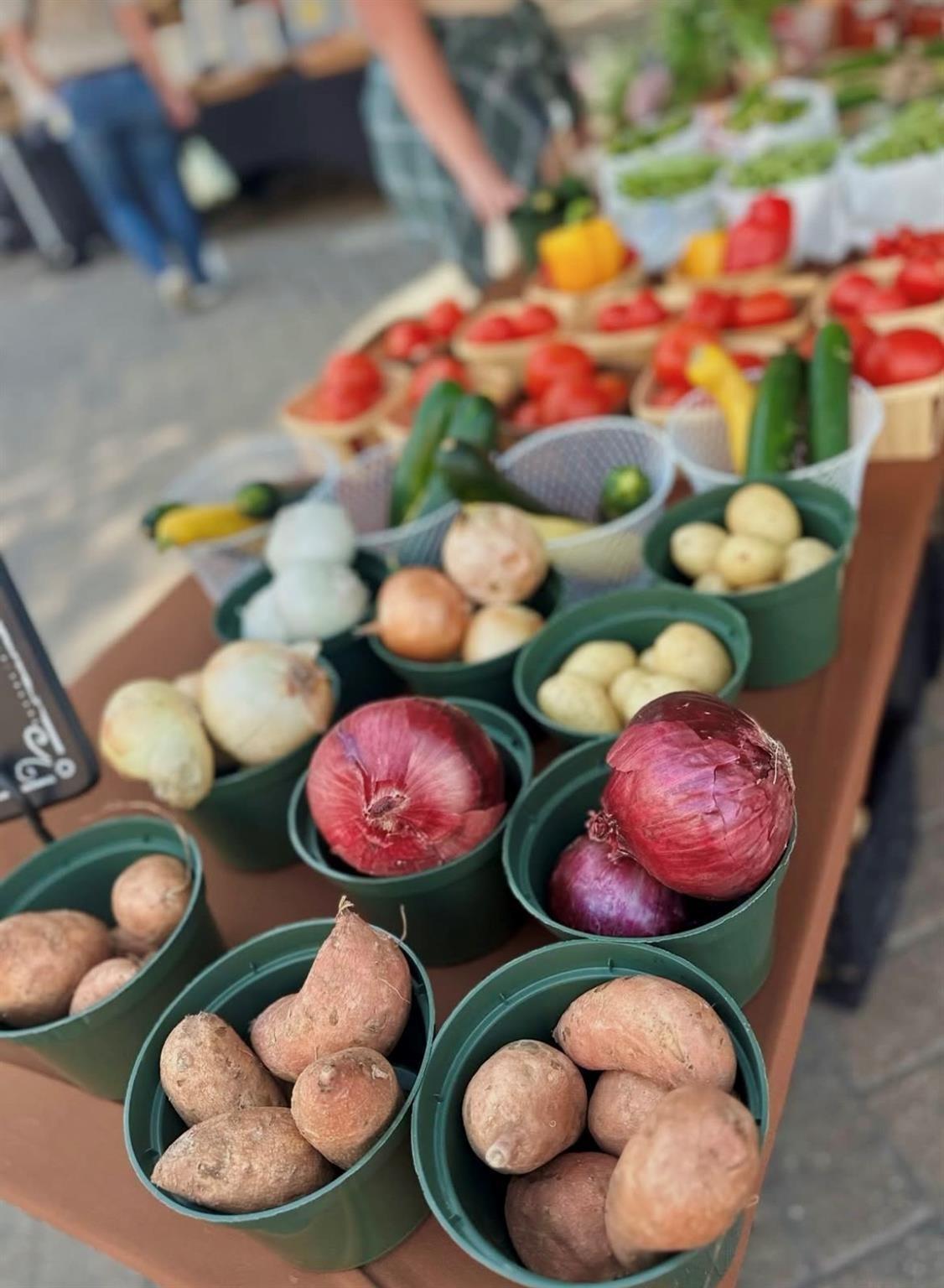 518 Clinton Street # B