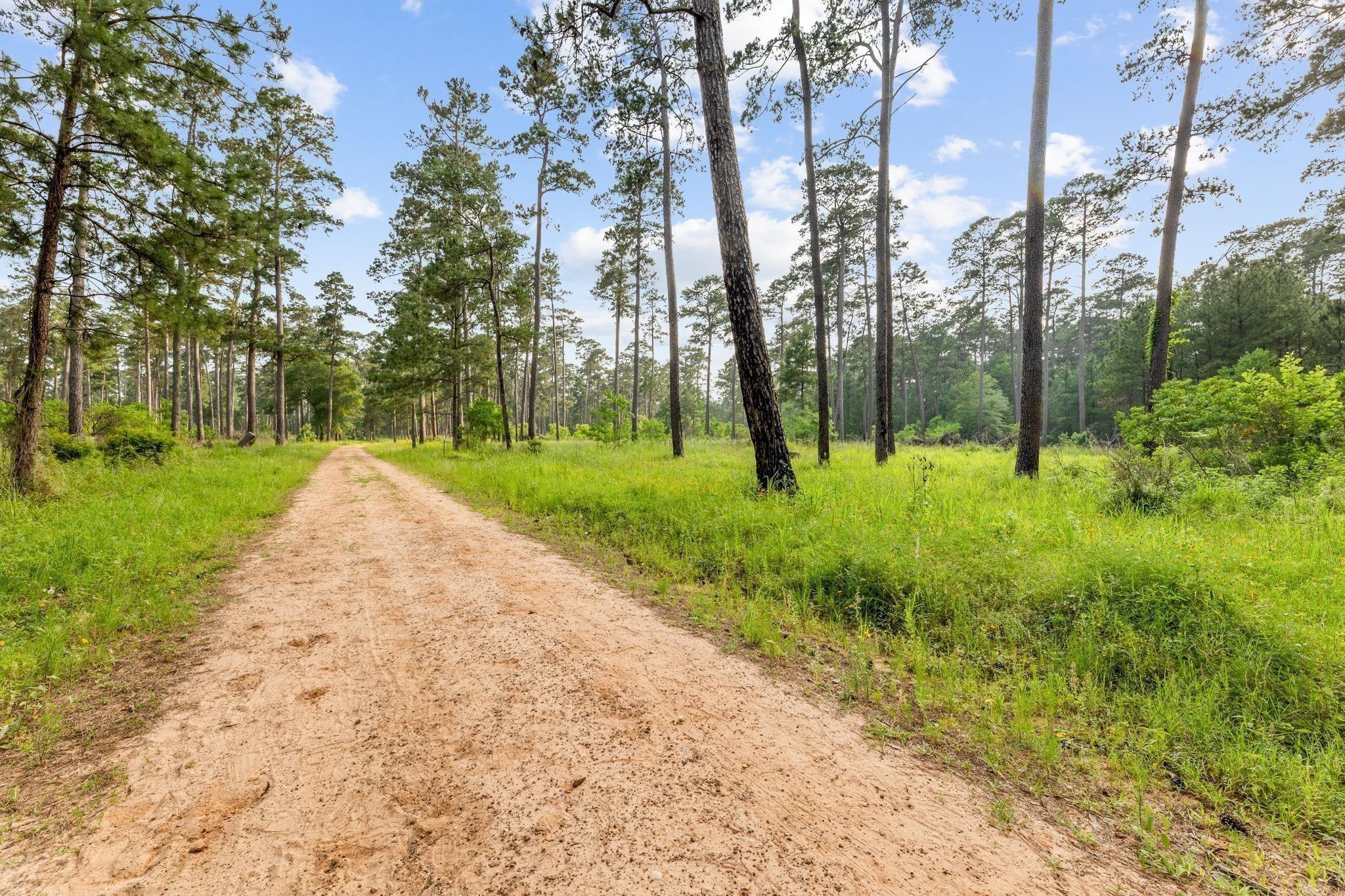 518 Clinton Street # B