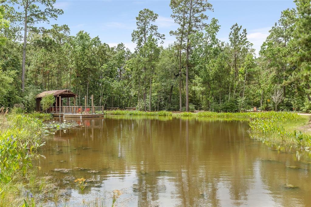 16307 Pintado Forest Road