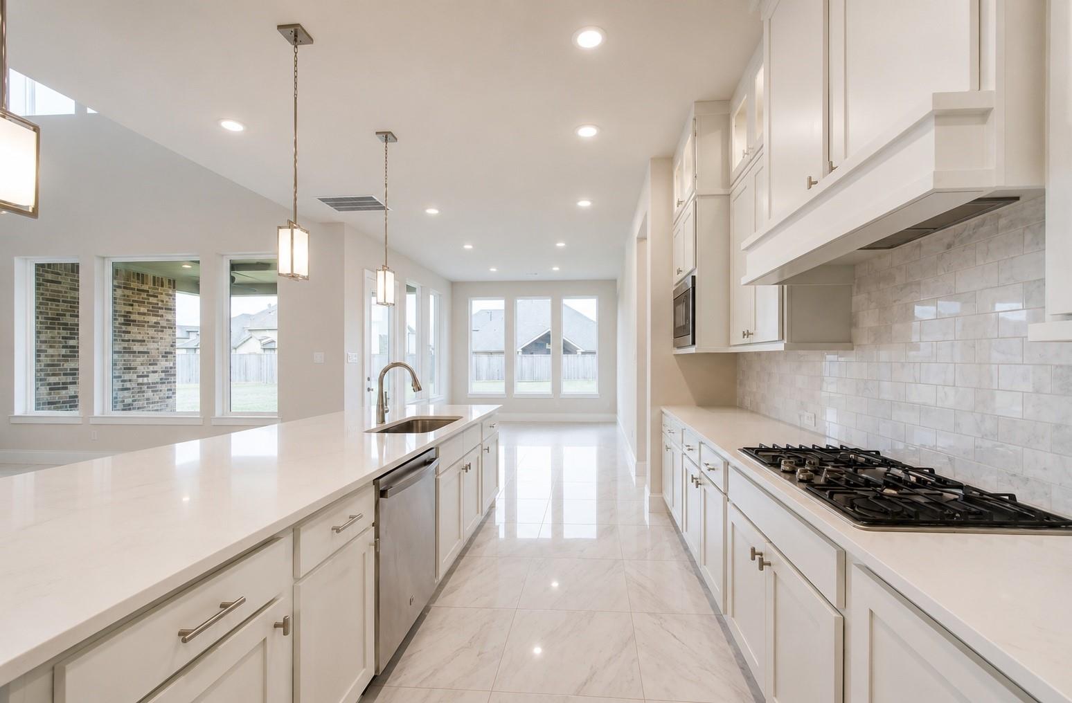 21307 Blue Wood Aster Court