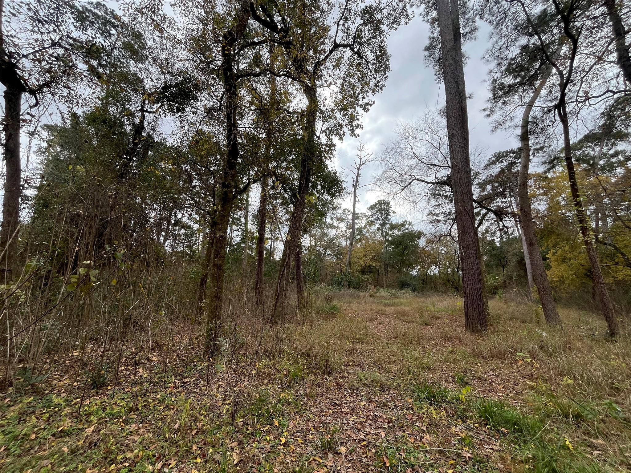 0 TBD Cripple Creek Dr