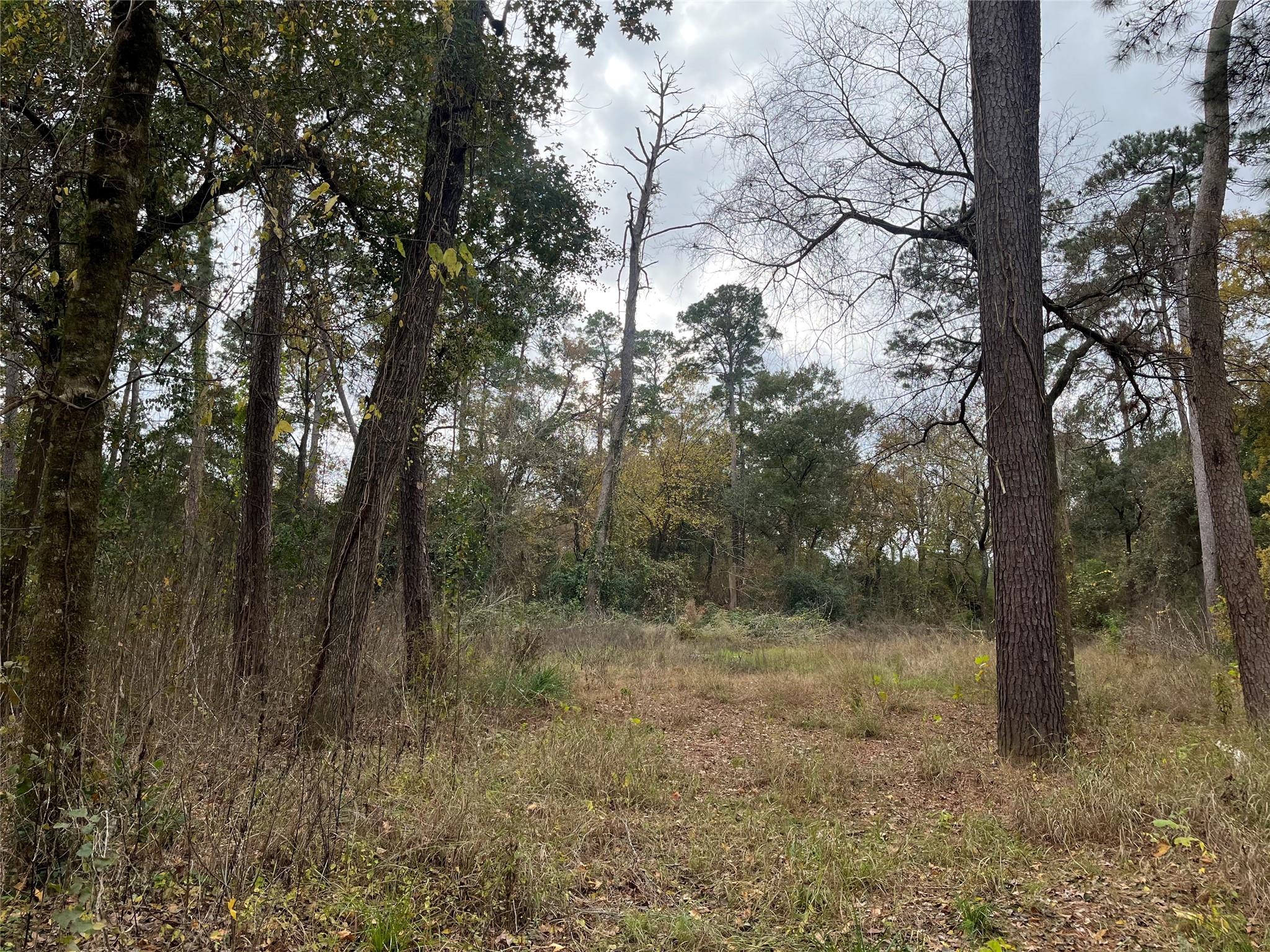 0 TBD Cripple Creek Dr